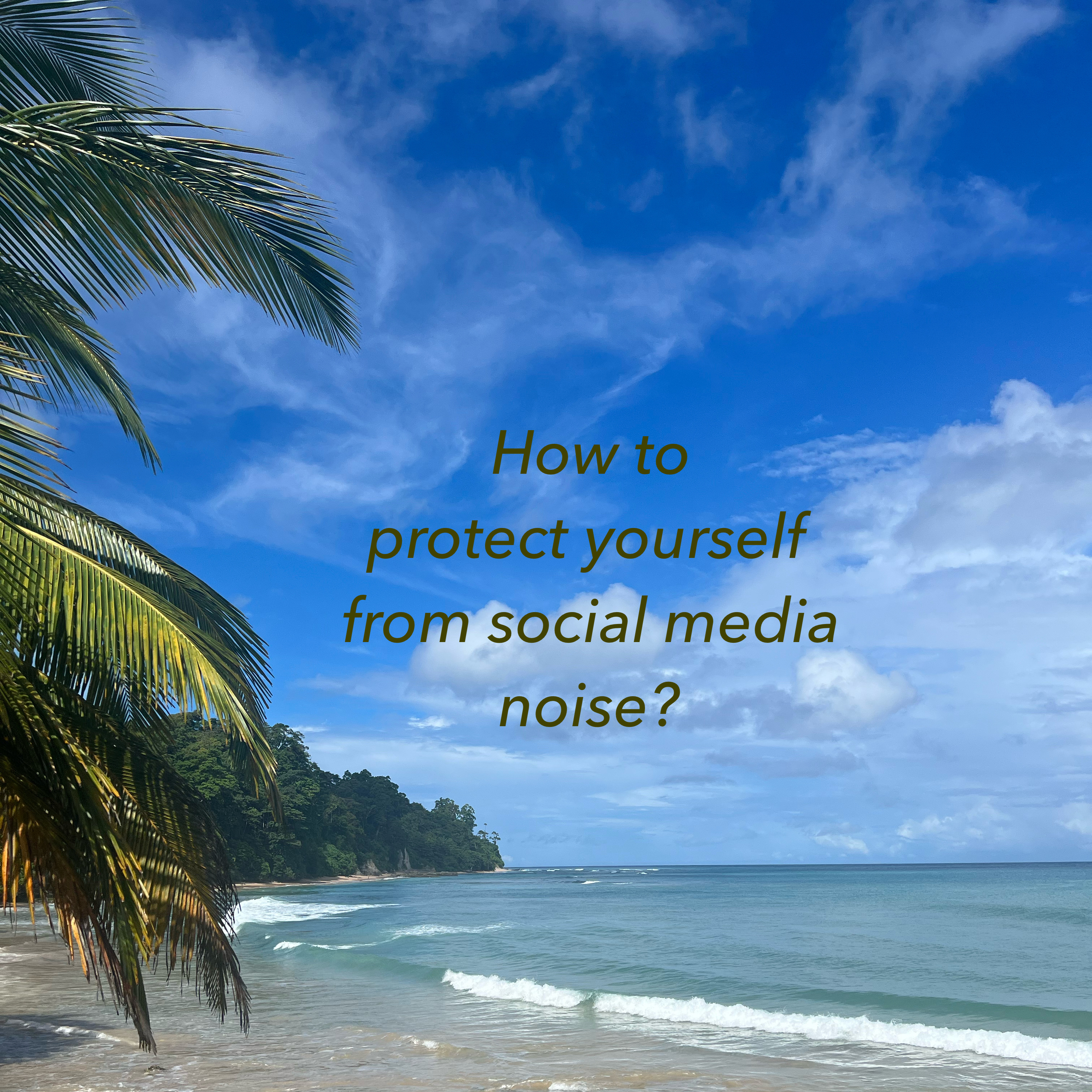 136 | How to protect yourself from social media noise?