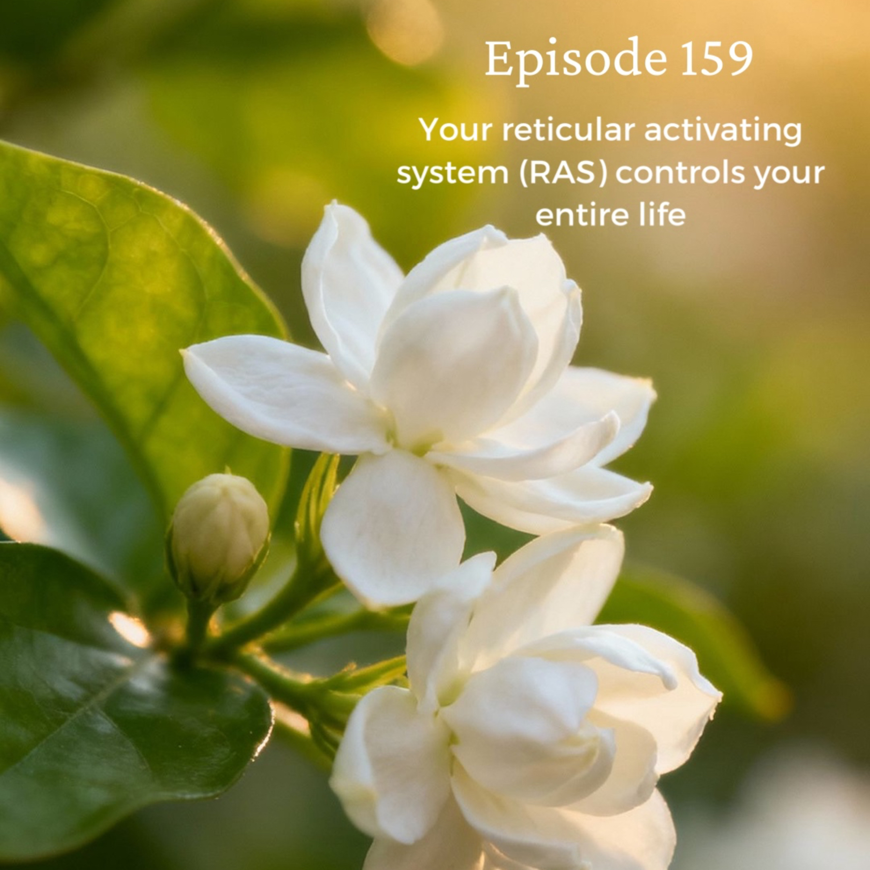 159 | Your reticular activating system (RAS) controls your entire life 