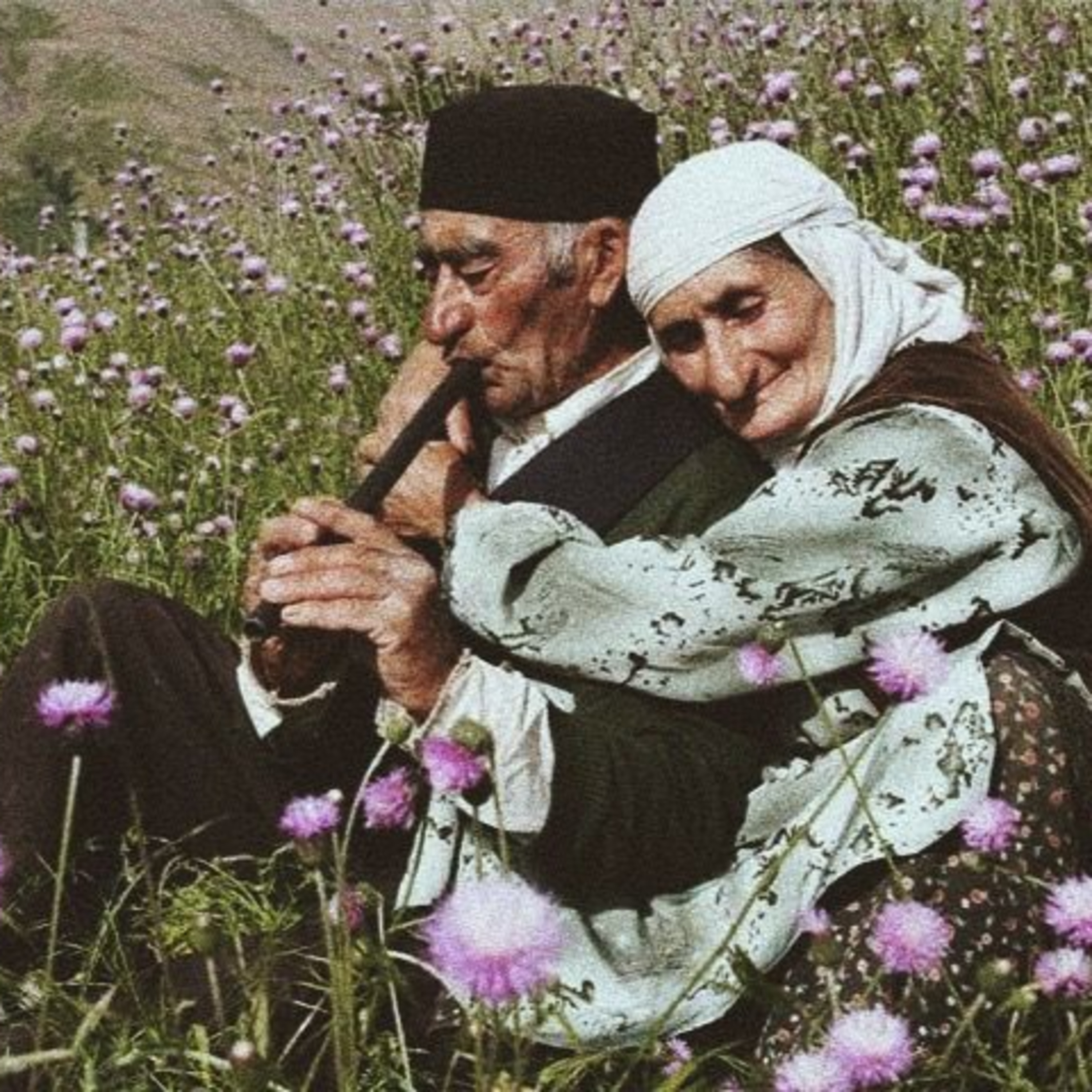 aslında doğrusu şu | güzel nedir, kimdir episode artwork