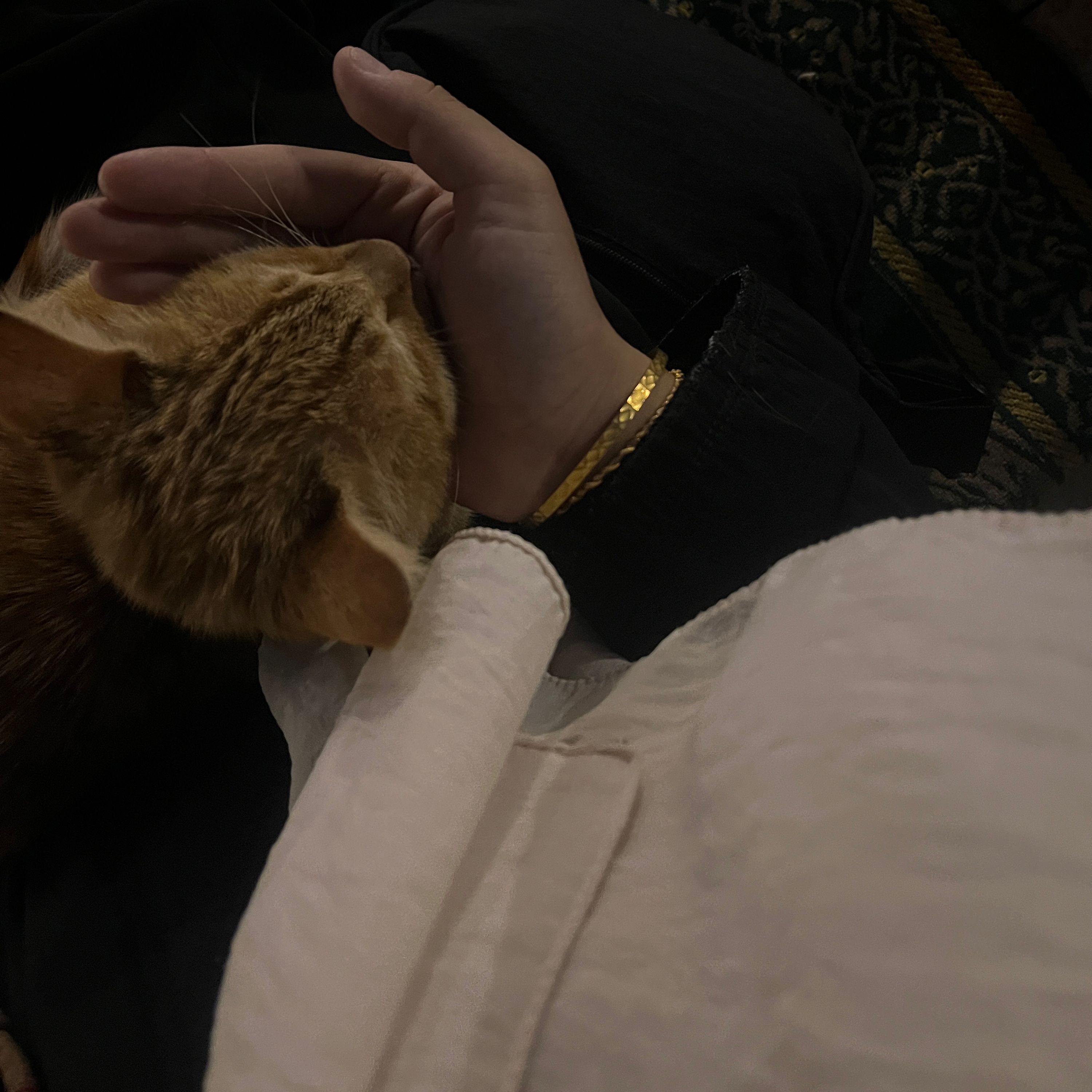 iyileşmek | gölgemiz, mesafeler ve biz