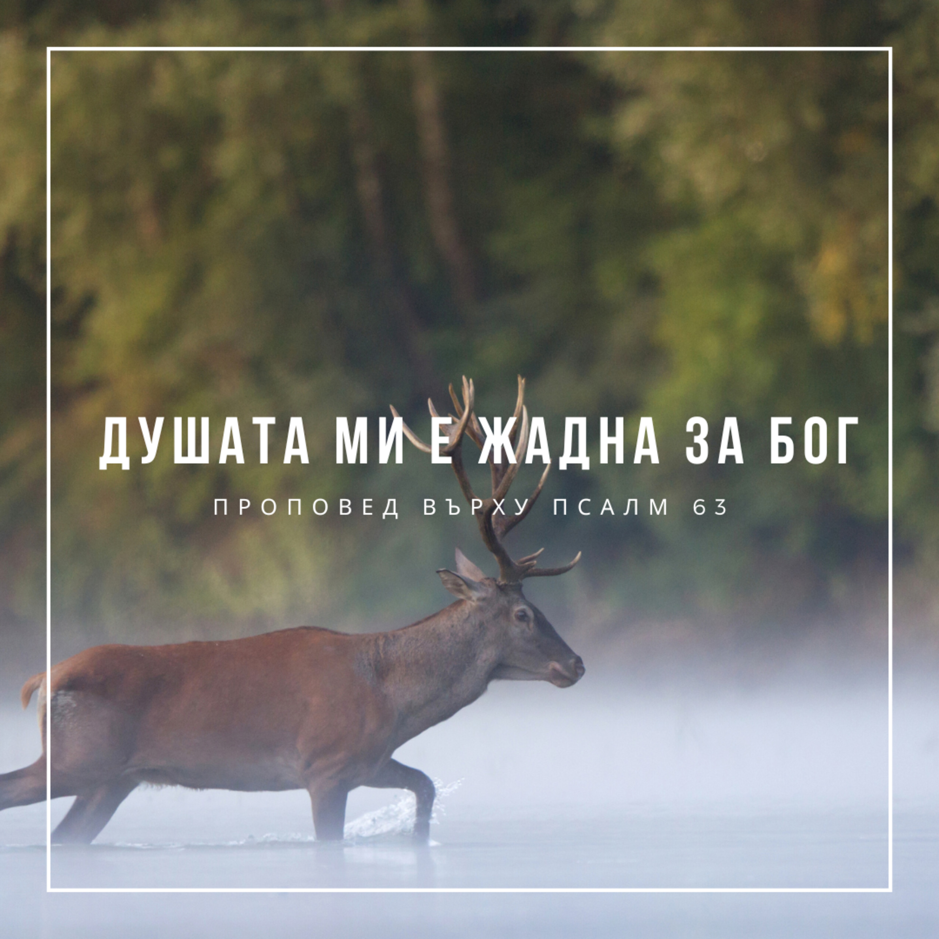 Душата ми е жадна за Бог (Псалм 63)  episode artwork
