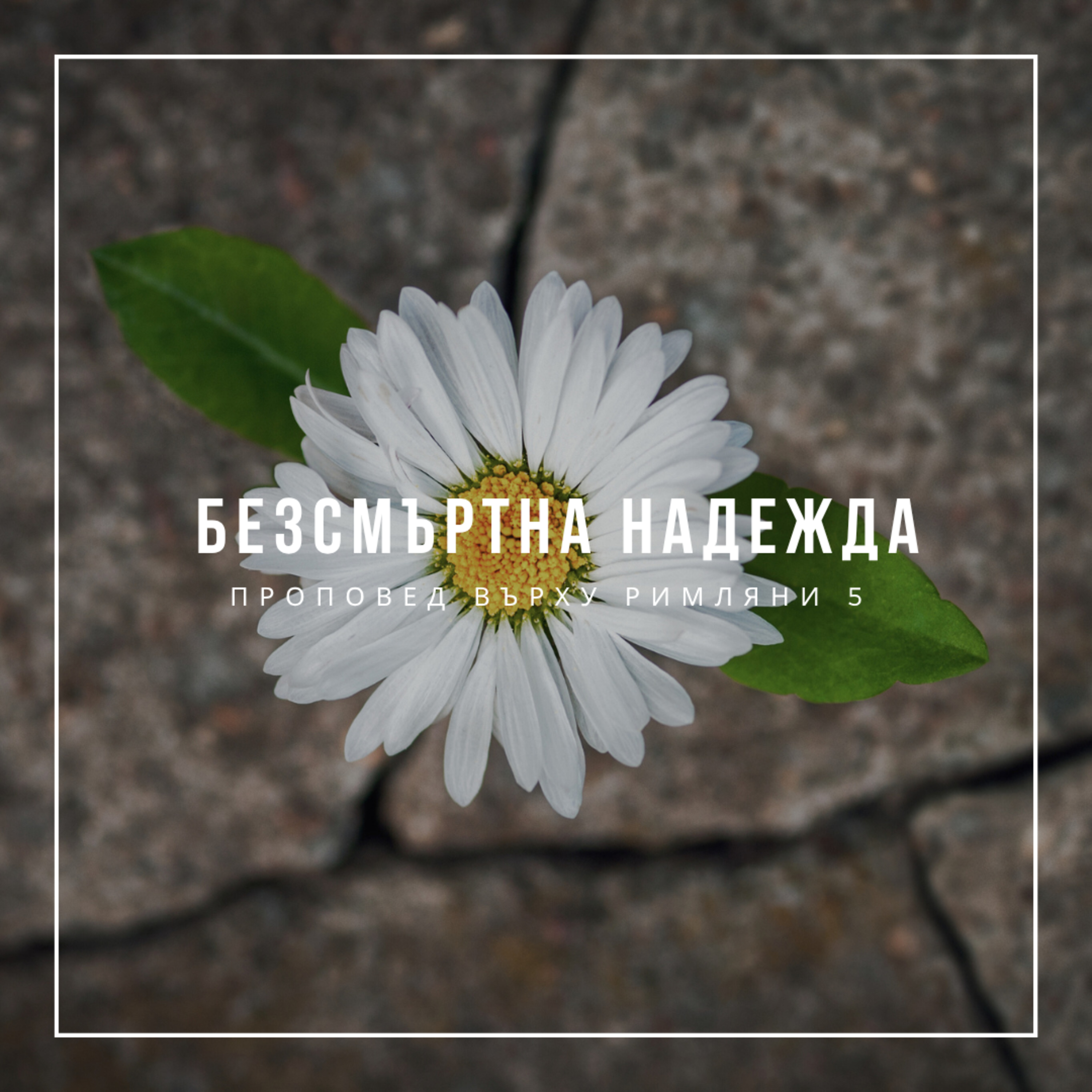 Безсмъртна надежда (Римляни 5гл.) - Константин Томов episode artwork