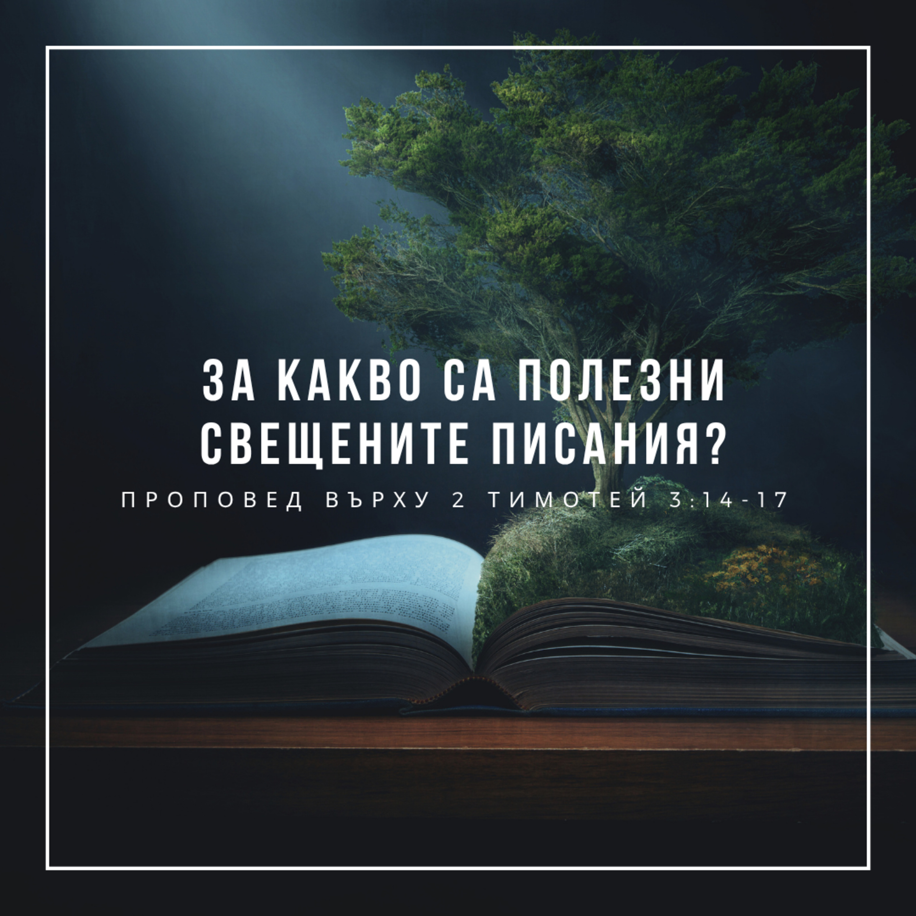 За какво са полезни Свещените писания? (2 Тимотей 3:14-17) - п-р Иван Мирчев episode artwork