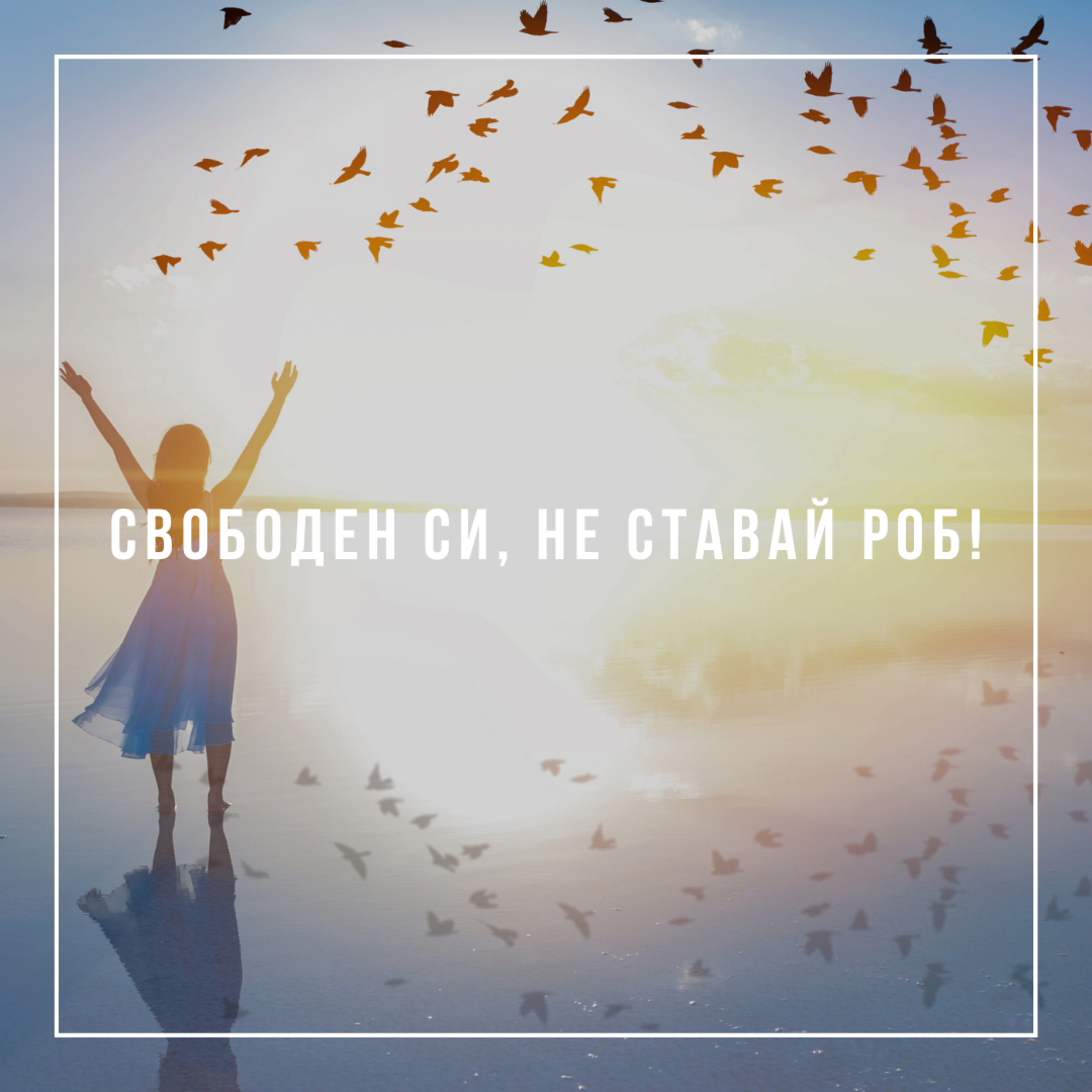 Свободен си, не ставай роб!  episode artwork