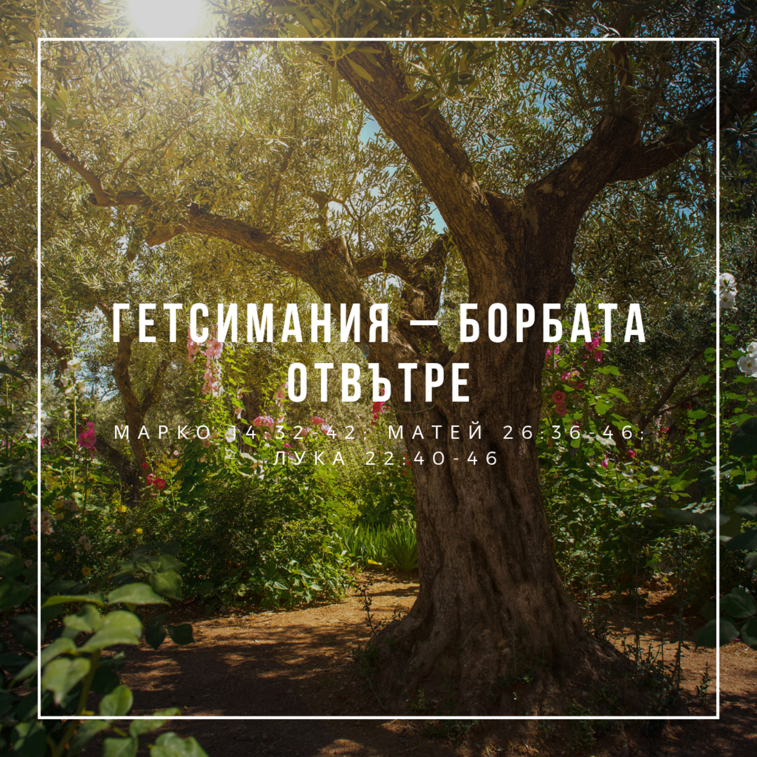 Гетсимания – борбата отвътре (Марко 14:32-42; Матей 26:36-46; Лука 22:40-46) episode artwork