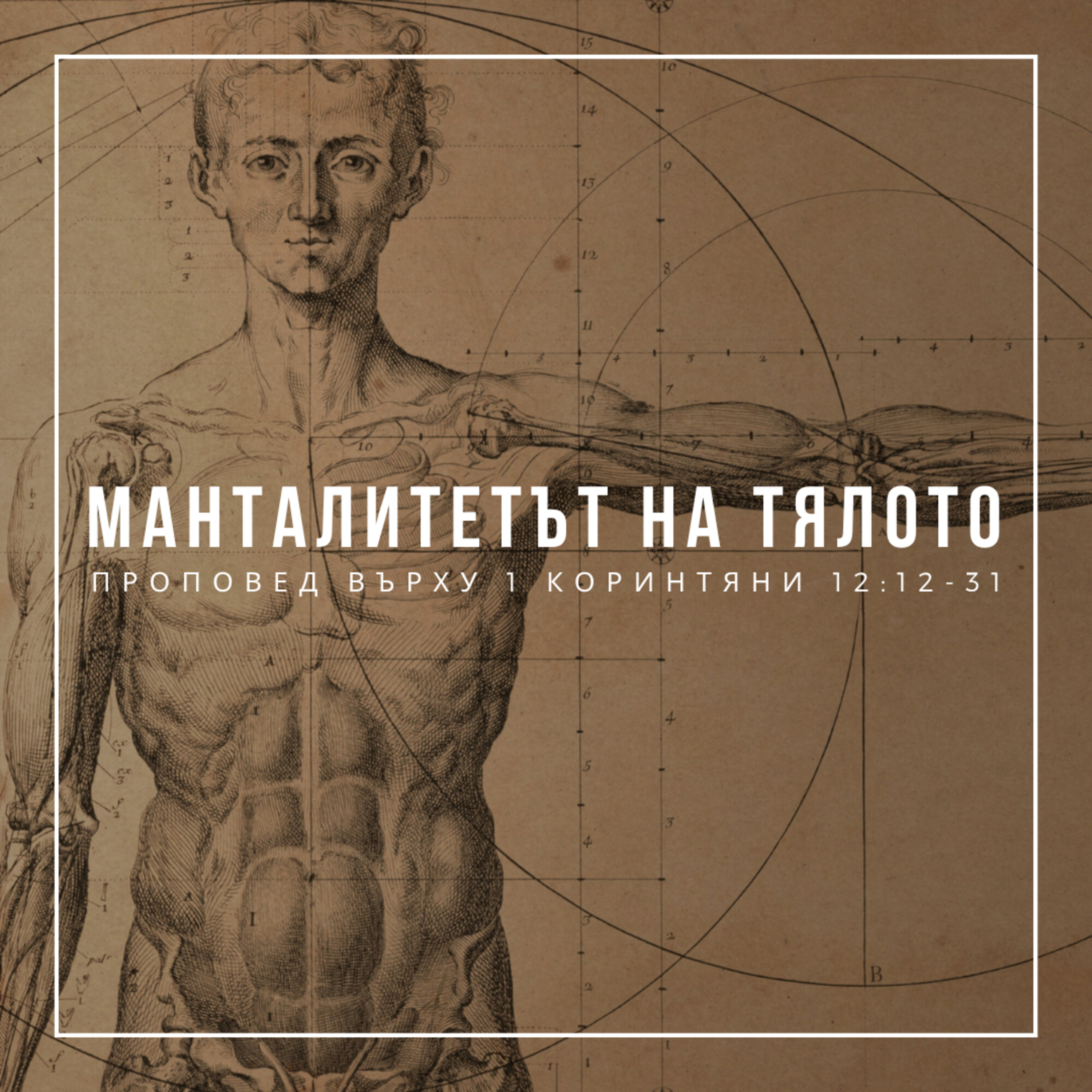 Манталитетът на тялото (1 Коринтяни 12:12-31) episode artwork