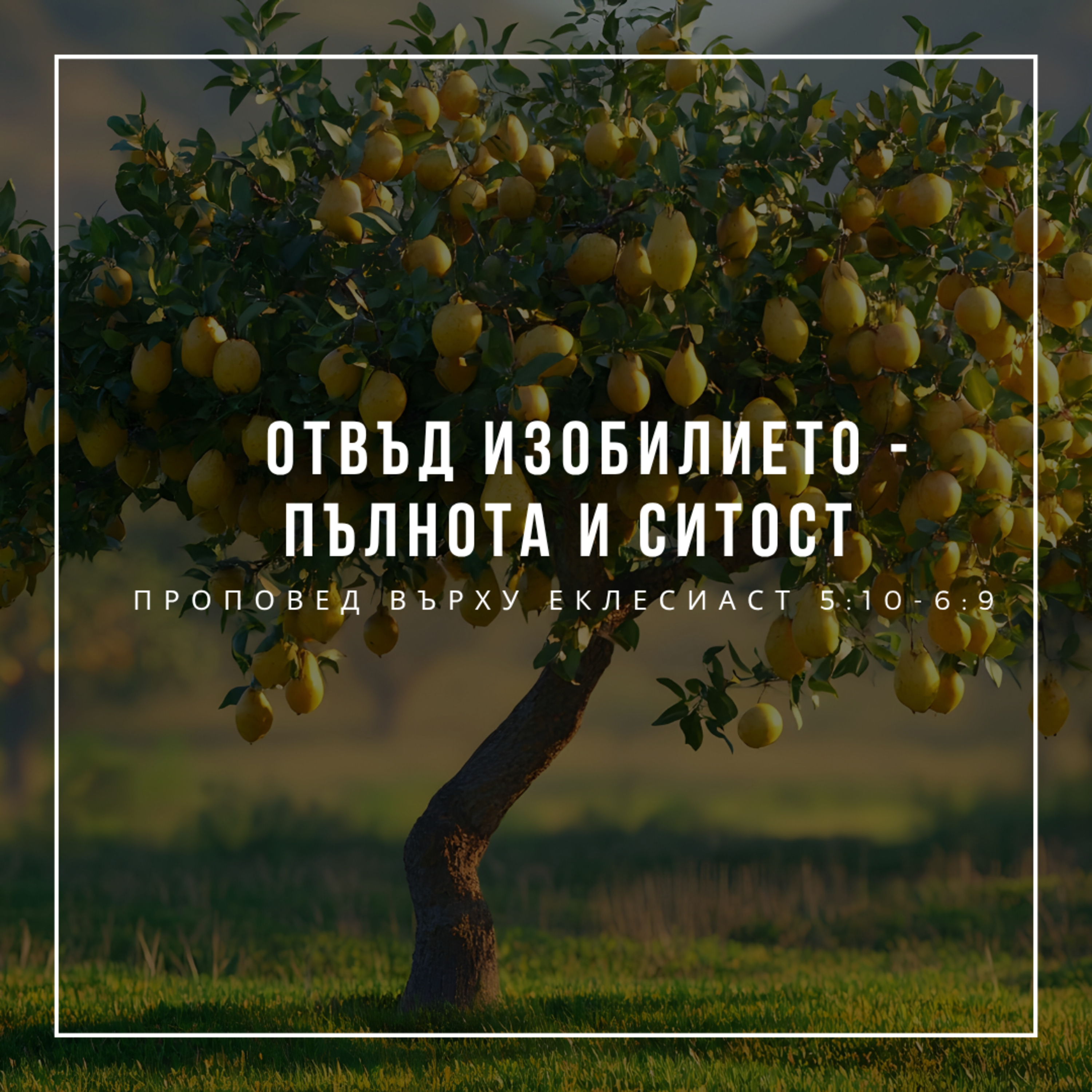 Отвъд изобилието - пълнота и ситост (Еклесиаст 5:10-6:9)  episode artwork