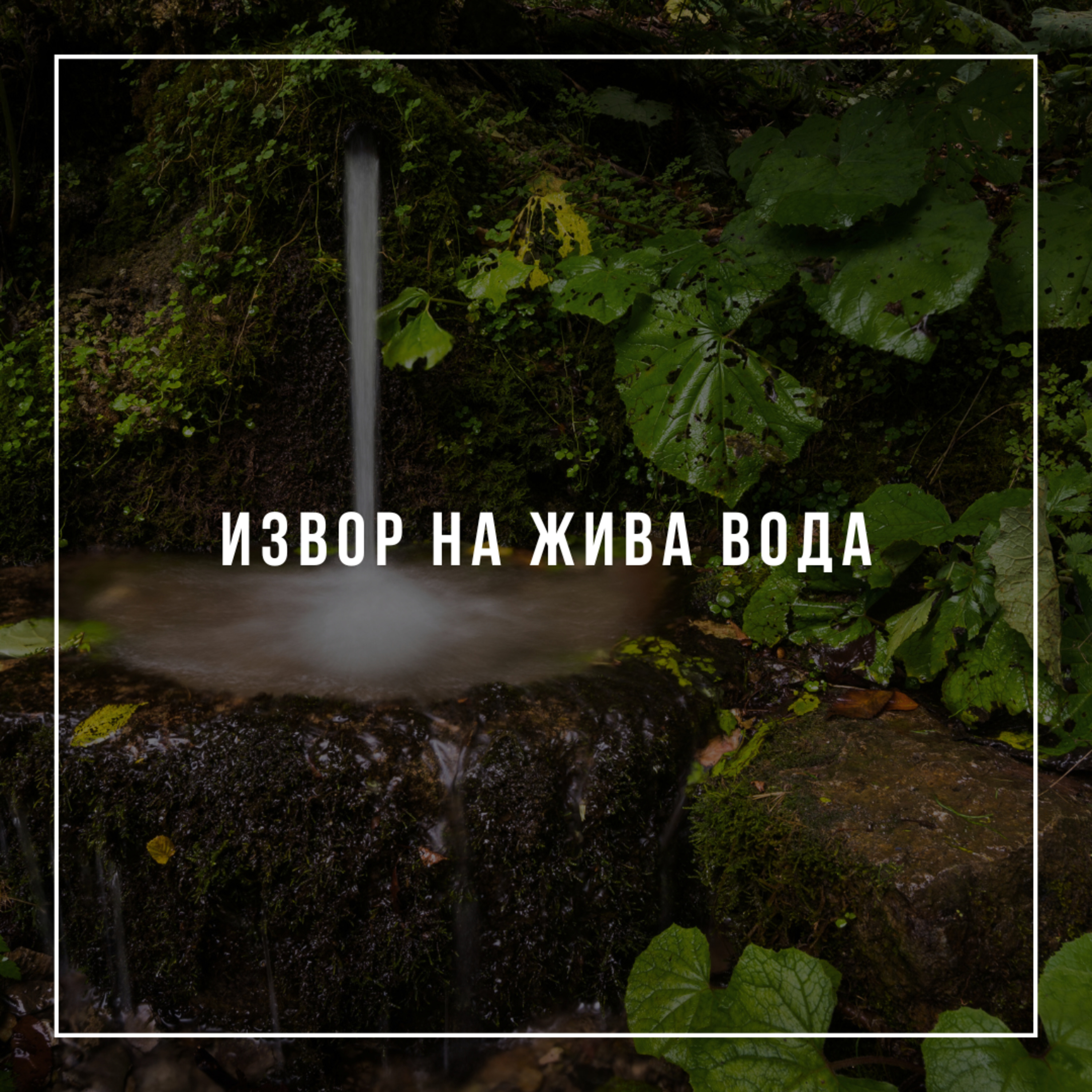 "Извор на жива вода" - Михаил Гърков episode artwork