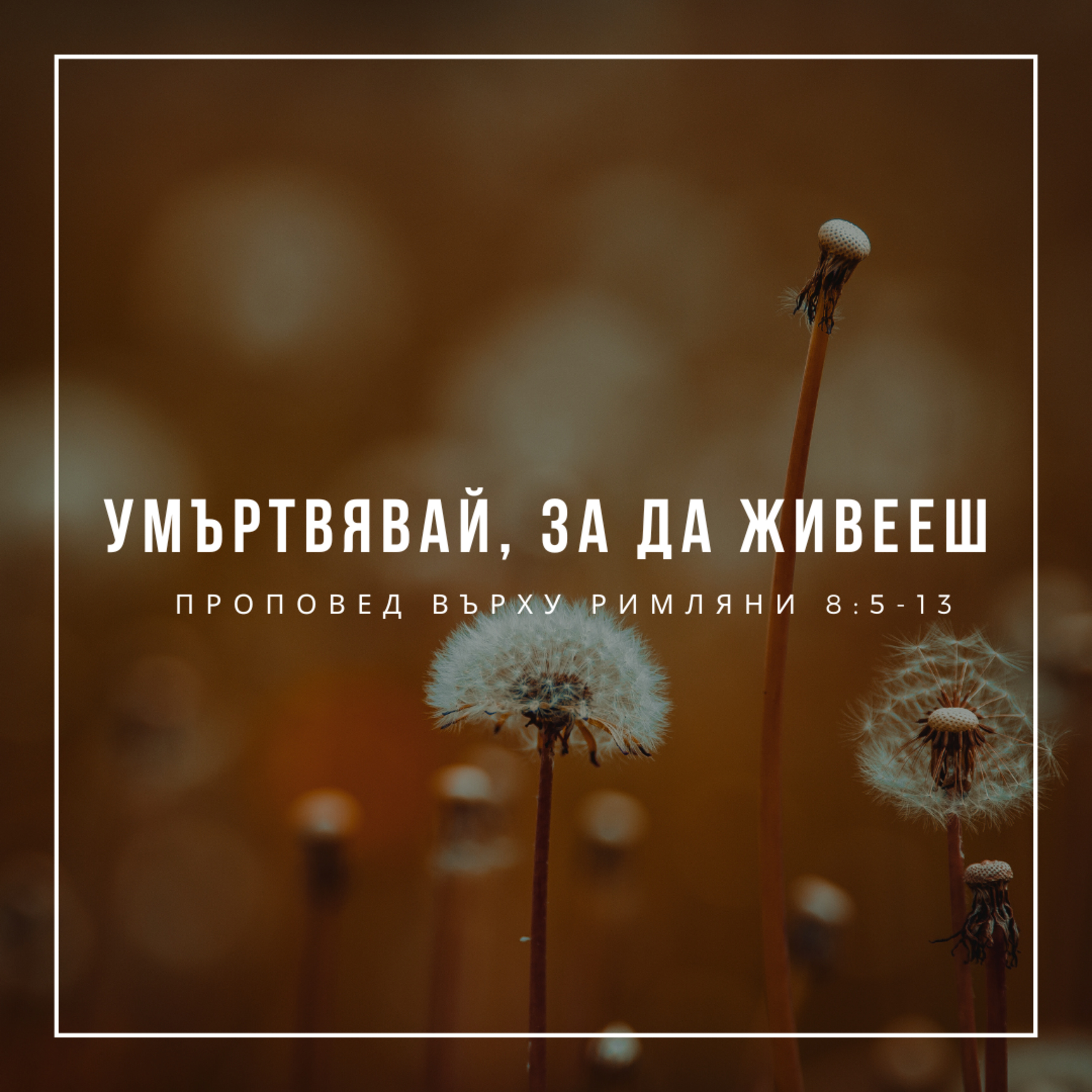 Умъртвявай, за да живееш (Римляни 8:5-13)  episode artwork