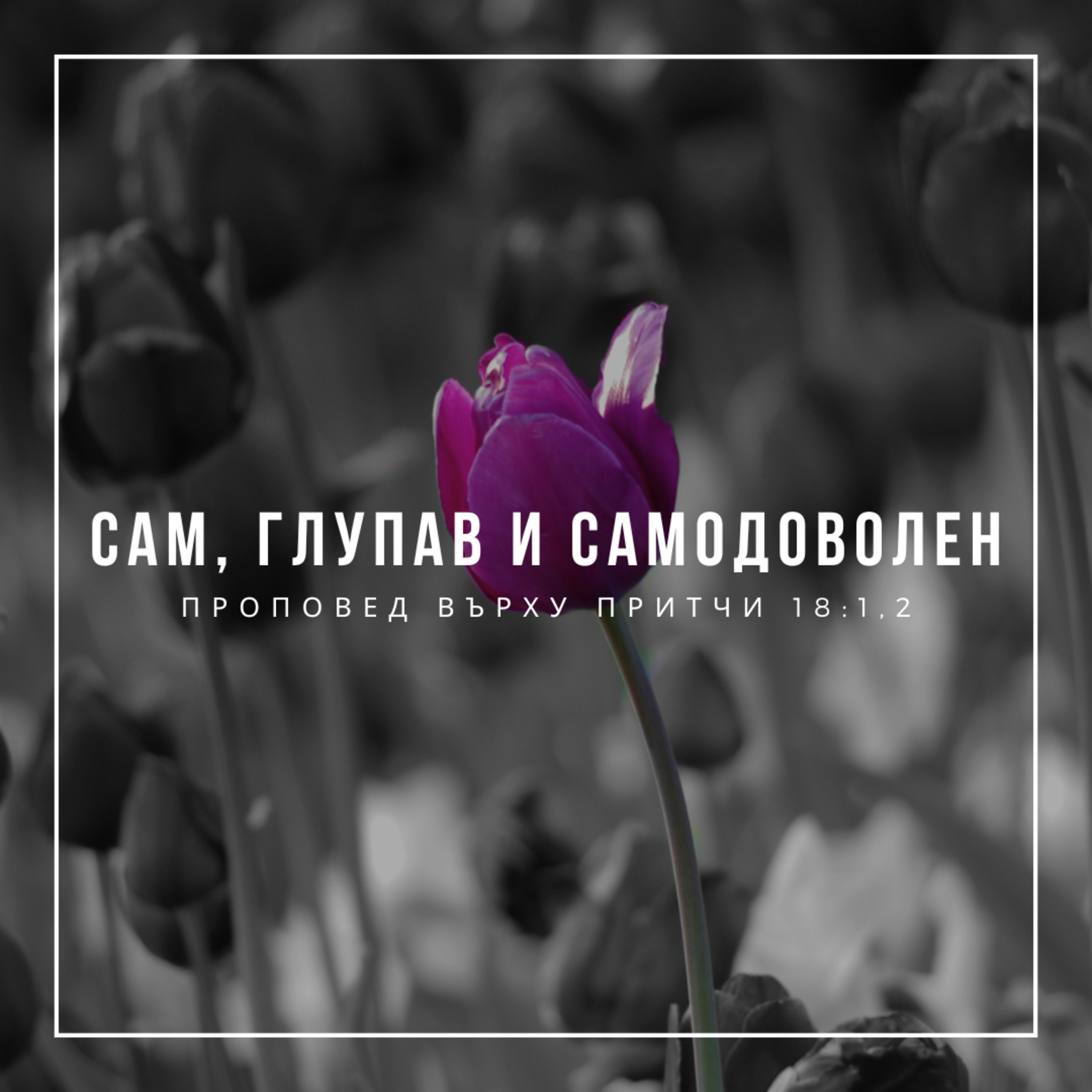 Сам, глупав и самодоволен (Притчи 18:1,2) episode artwork