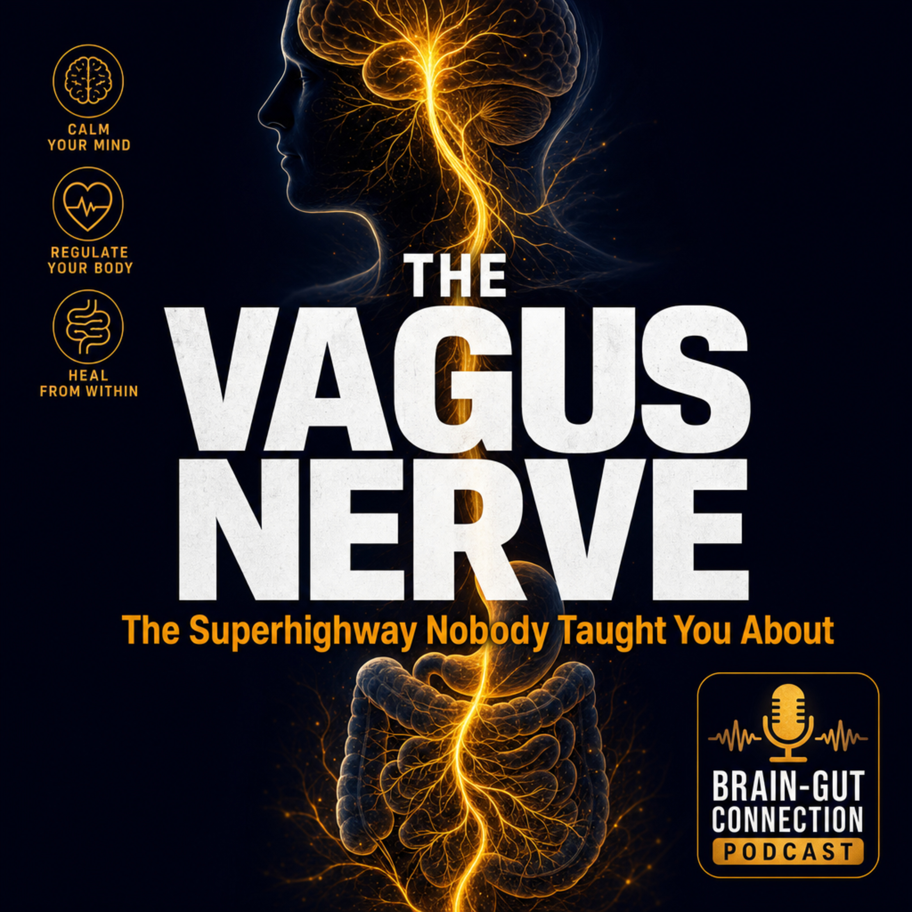 The Vagus Nerve: The Superhighway Nobody Taught You About episode artwork