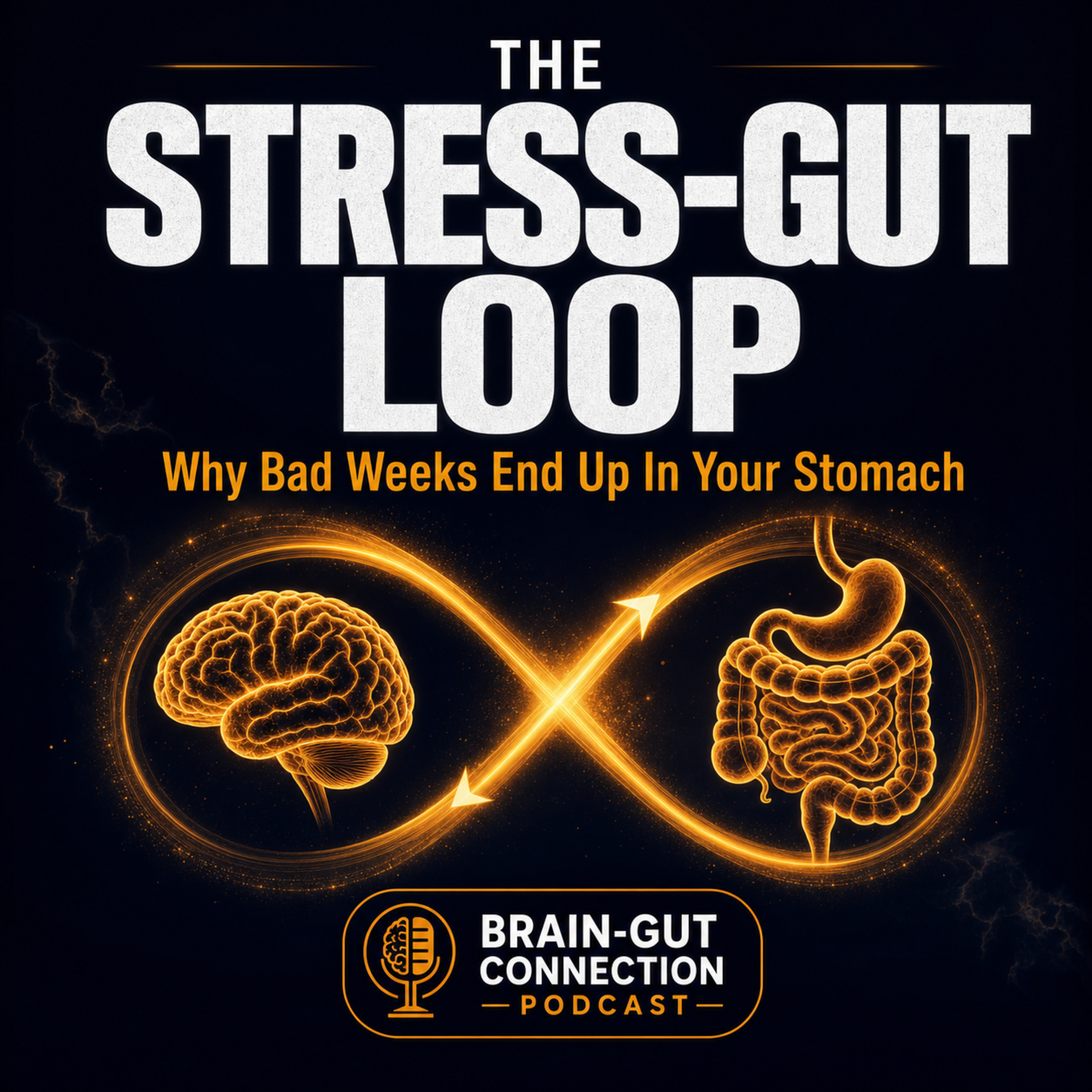 Stress & The Gut: The Vicious Loop episode artwork