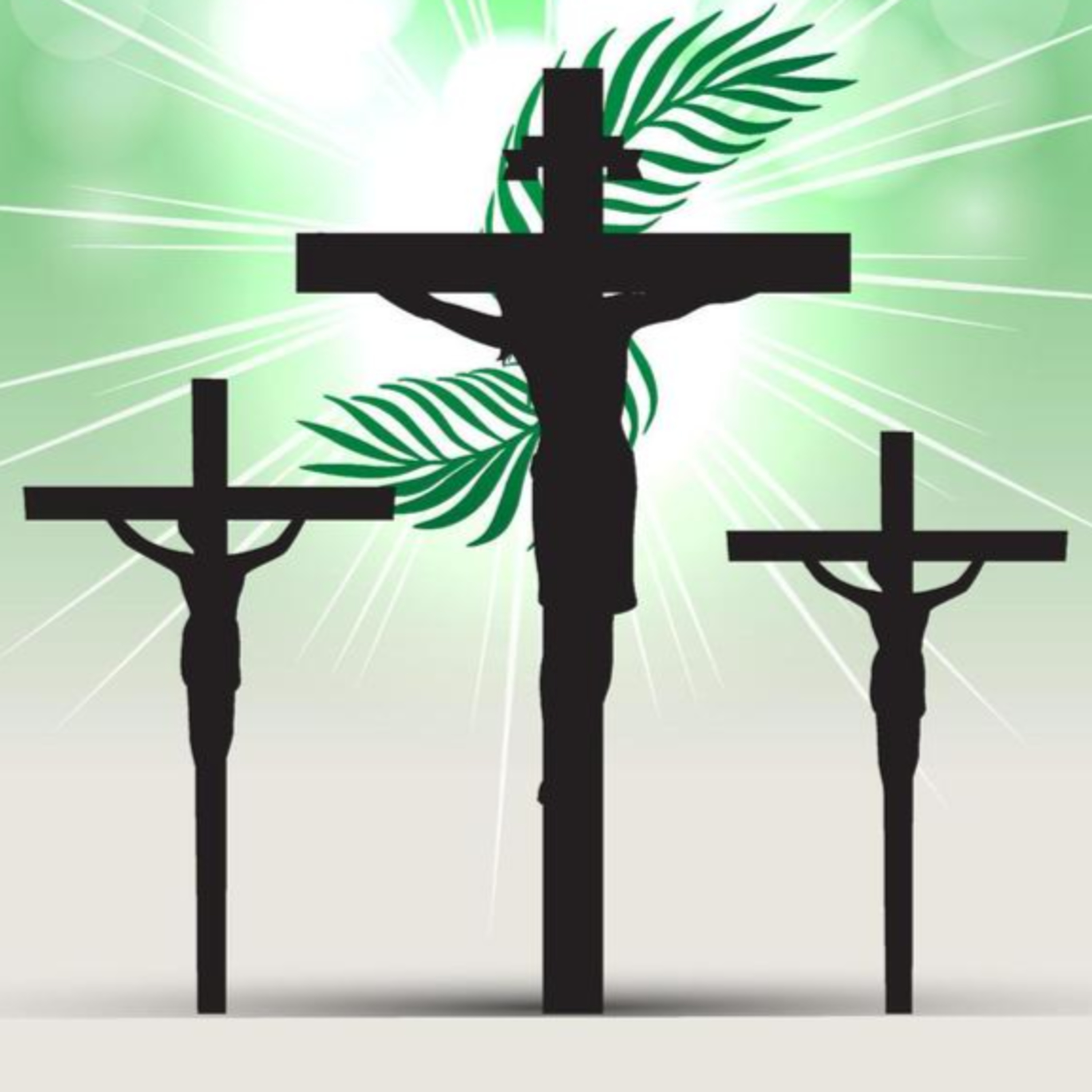 SEGUIR JESUS