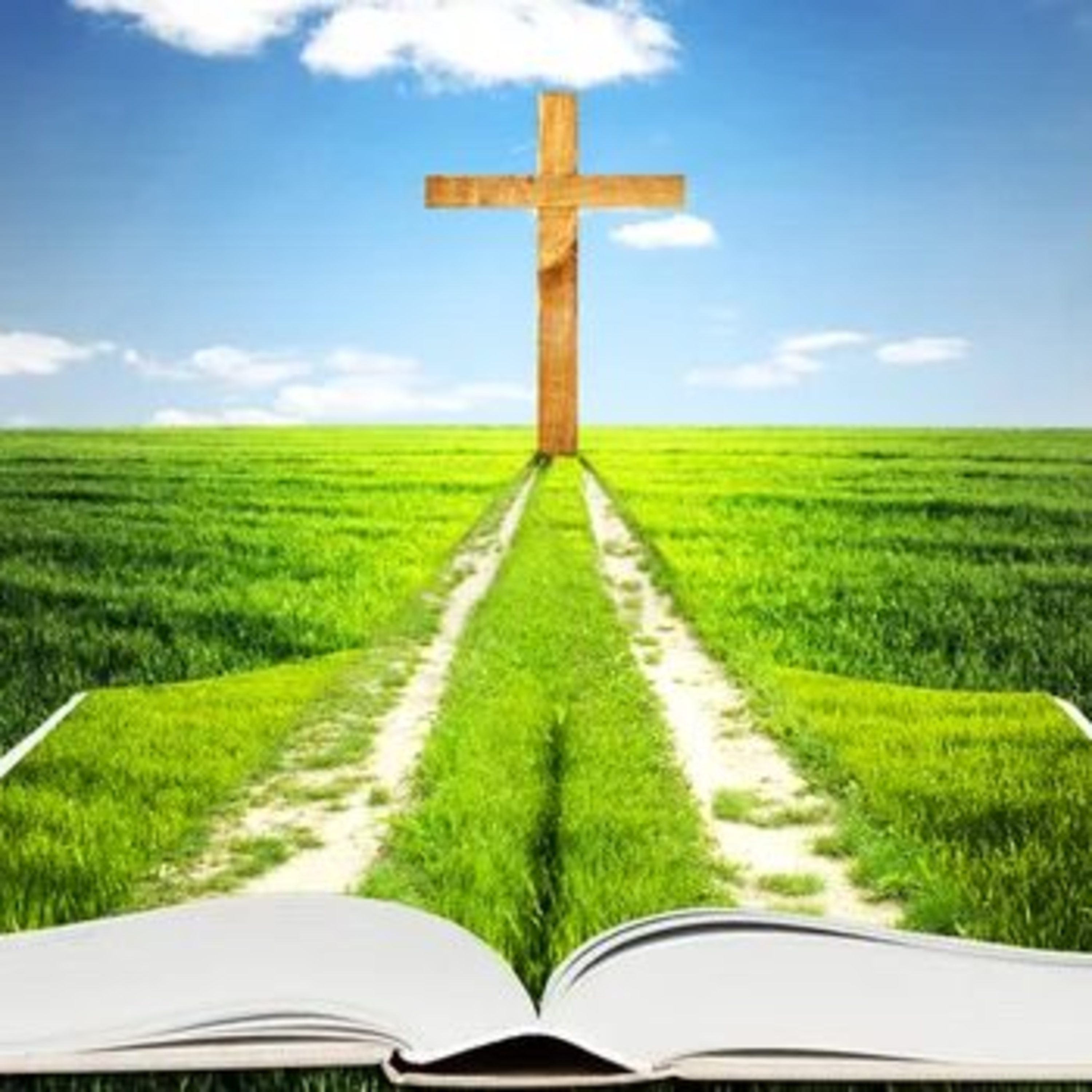SEGUIR JESUS