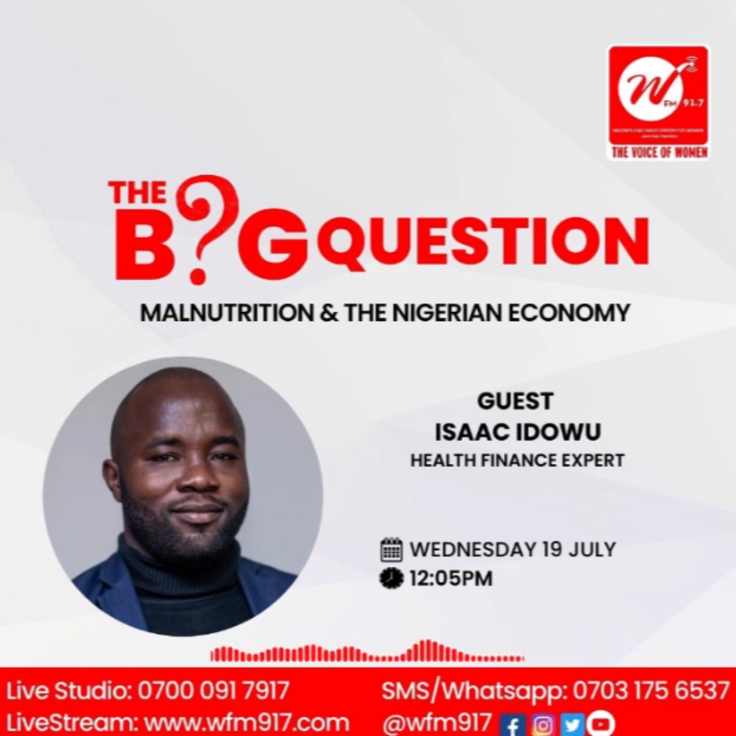 TheBigQuestion - Malnutrition and the Nigerian Economy episode artwork