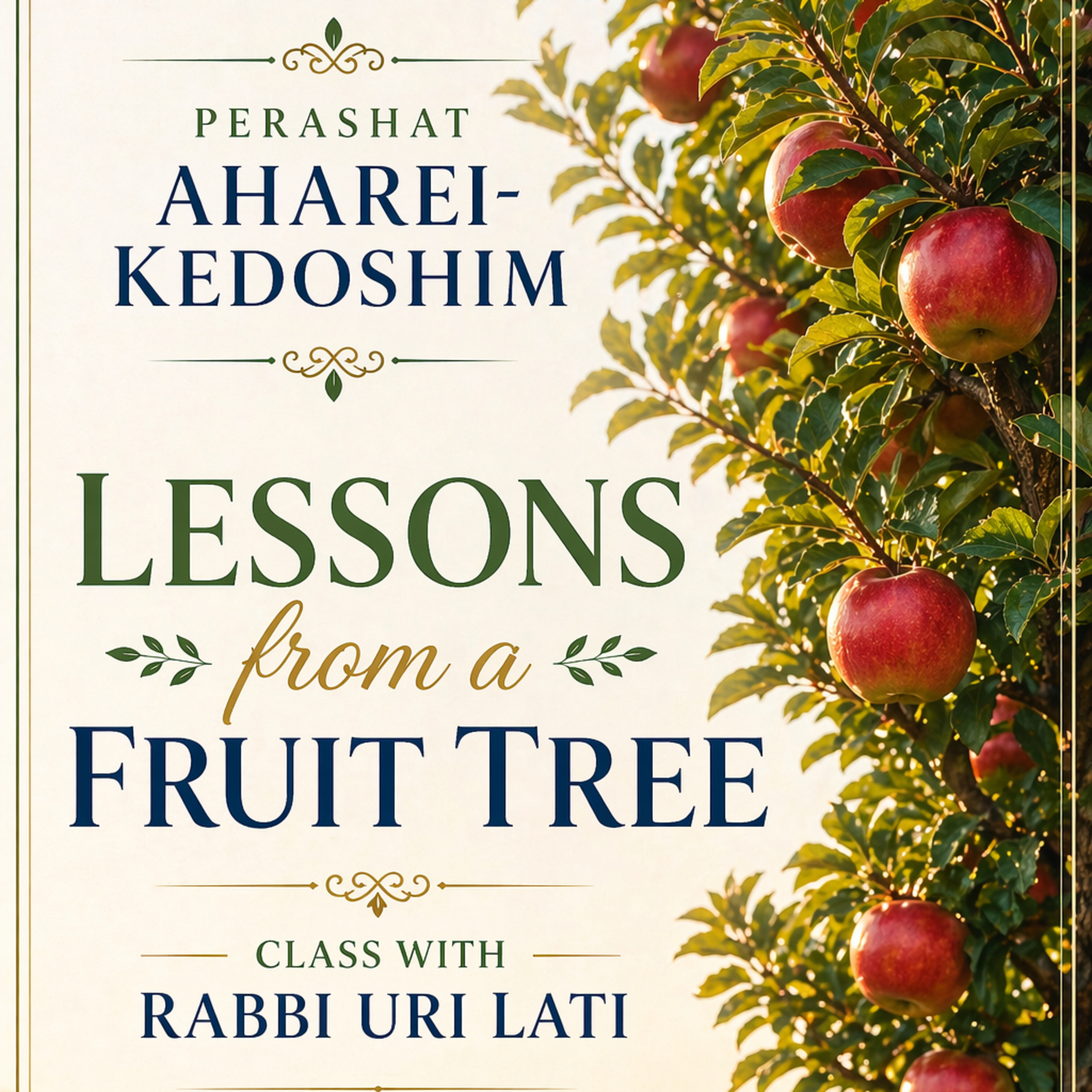 Perashat Kedoshim 5786 episode artwork