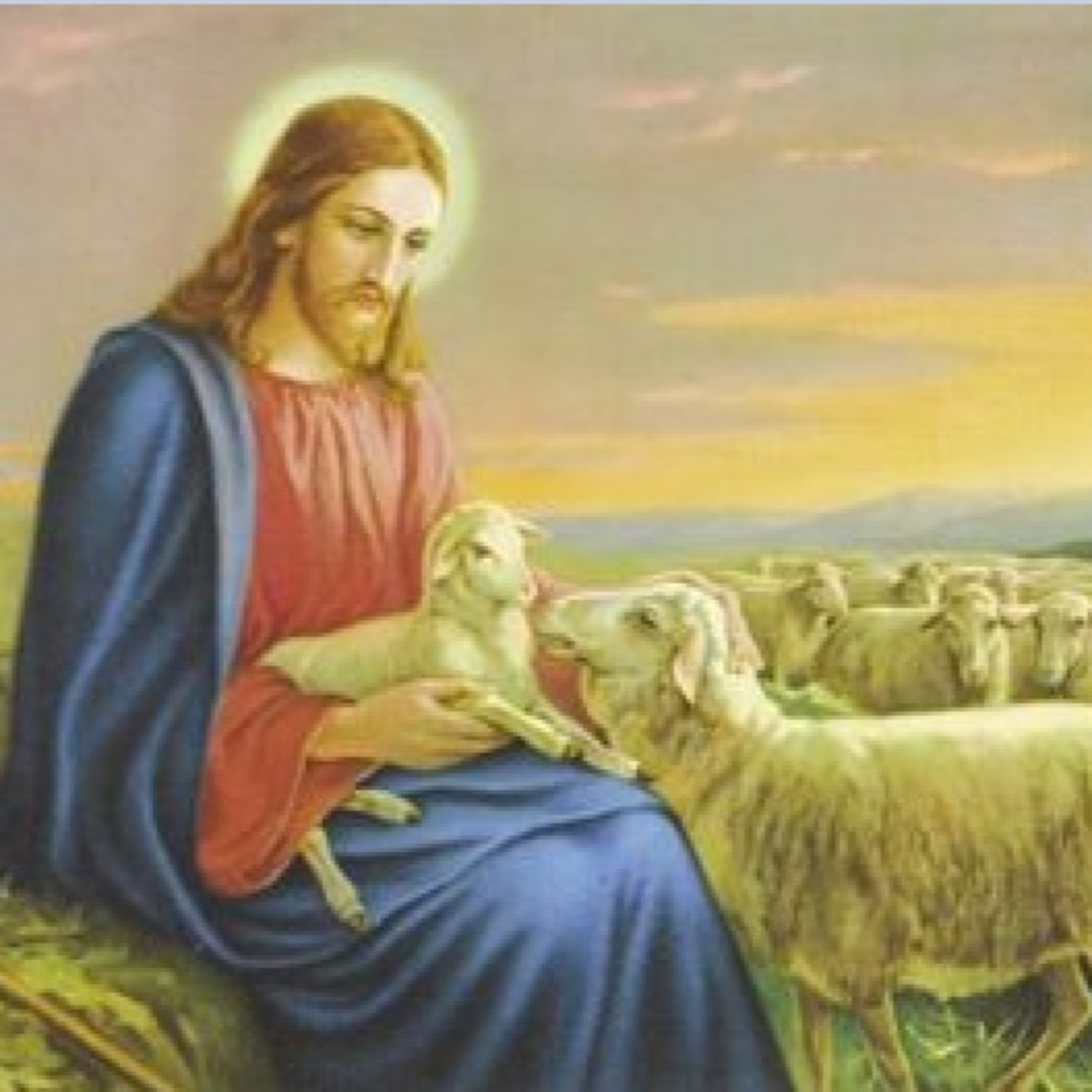 Parrocchia San Maurizio - Erba