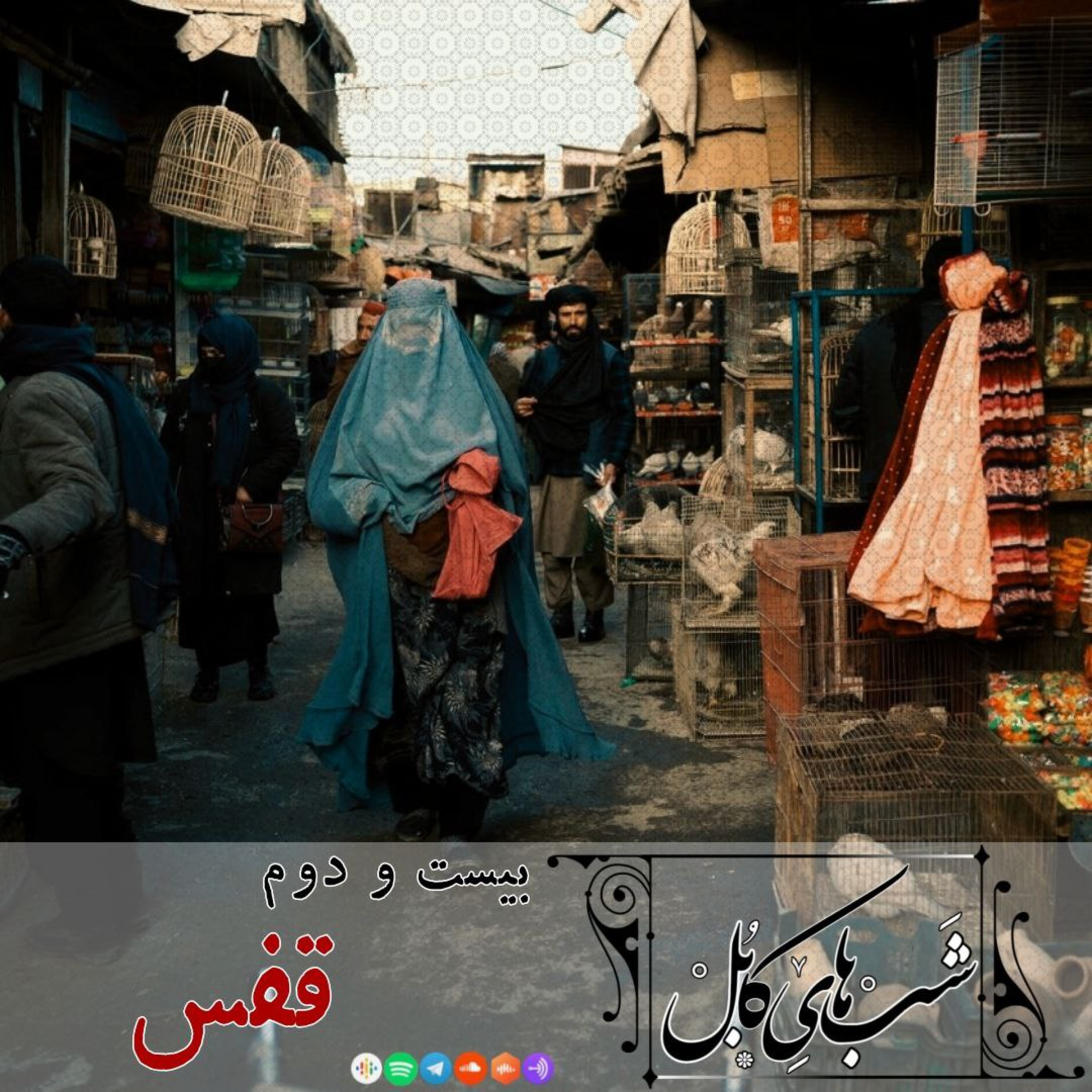 کاور بیست و دوم - قفس