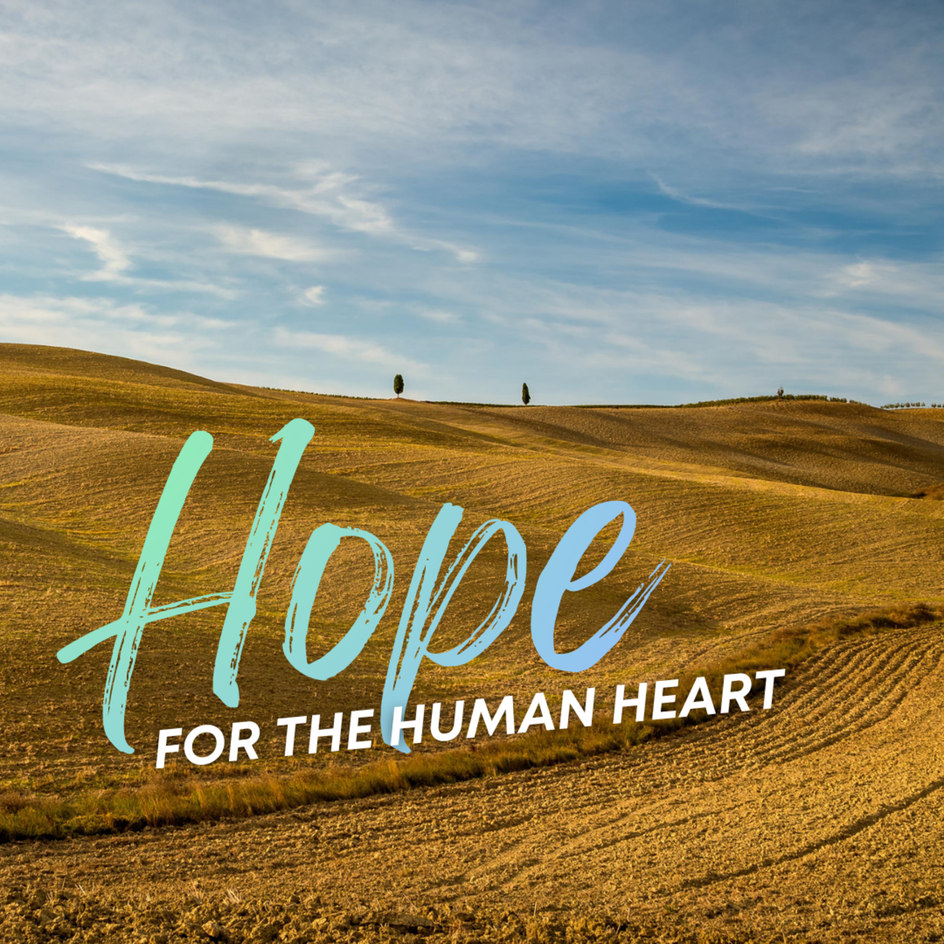 Episode 303: SUNDAY SERMON - Hope For the Human Heart - Steve Meeks