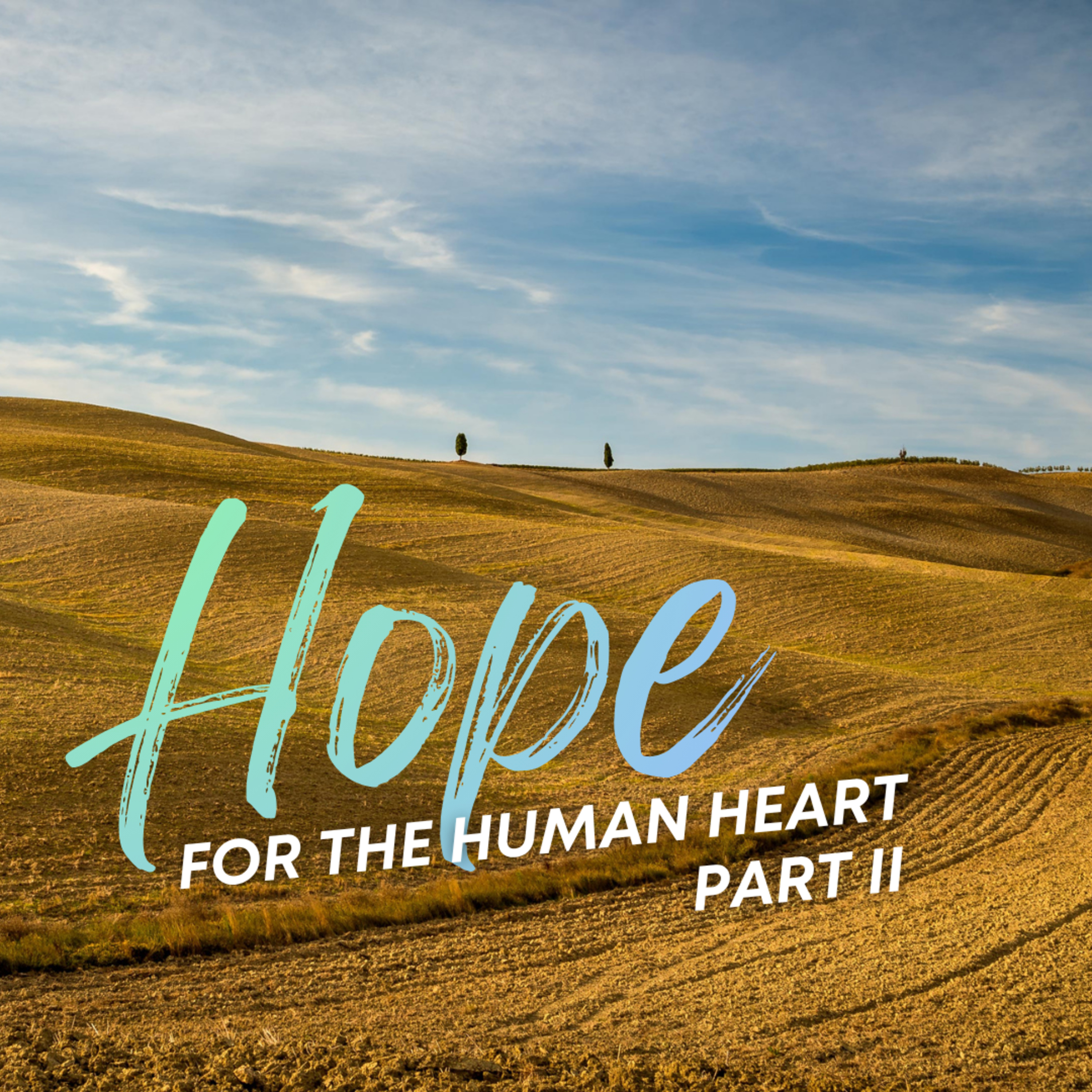 Episode 304: SUNDAY SERMON - Hope For the Human Heart Pt. 2 - Steve Meeks
