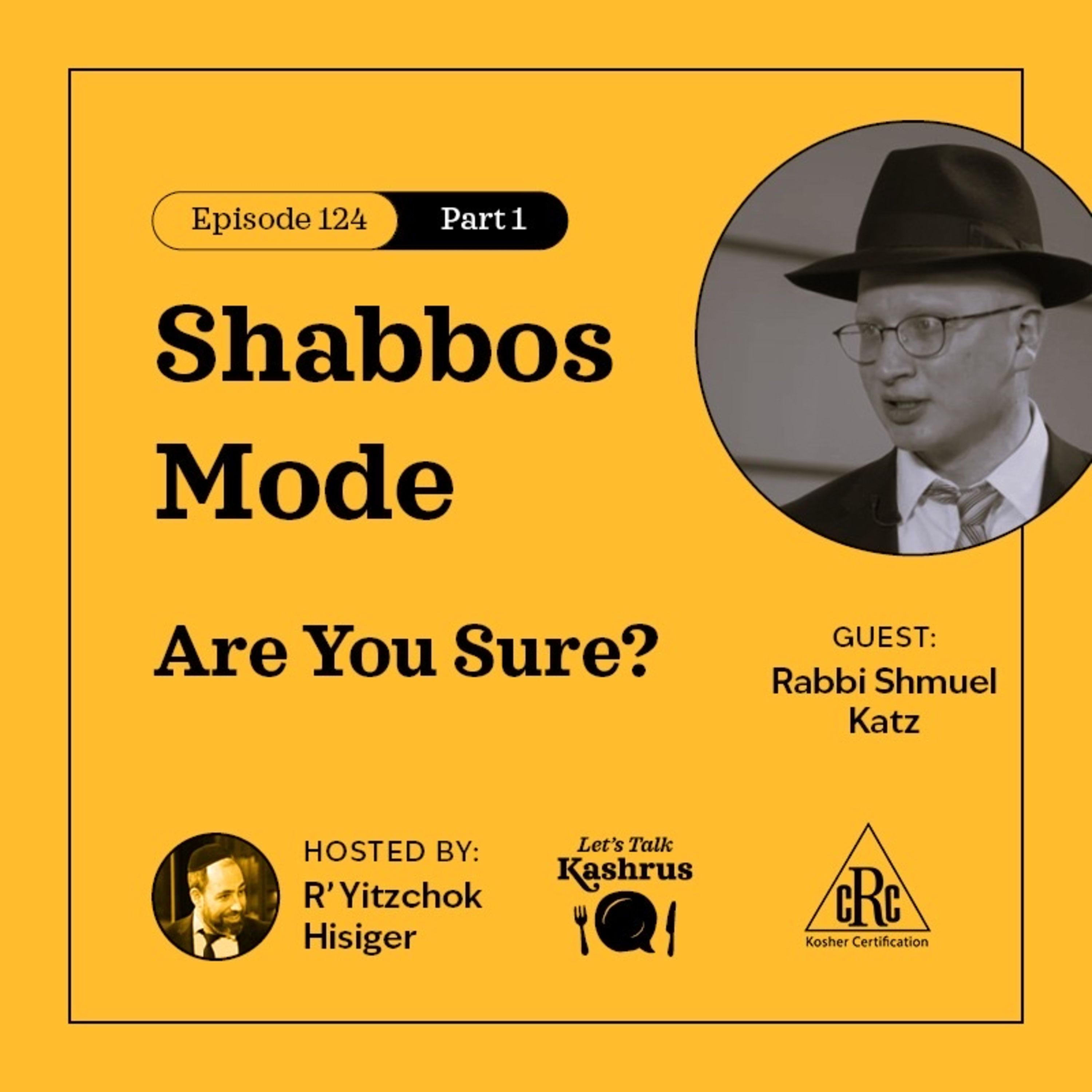Shabbos Mode: Are You Sure? episode artwork