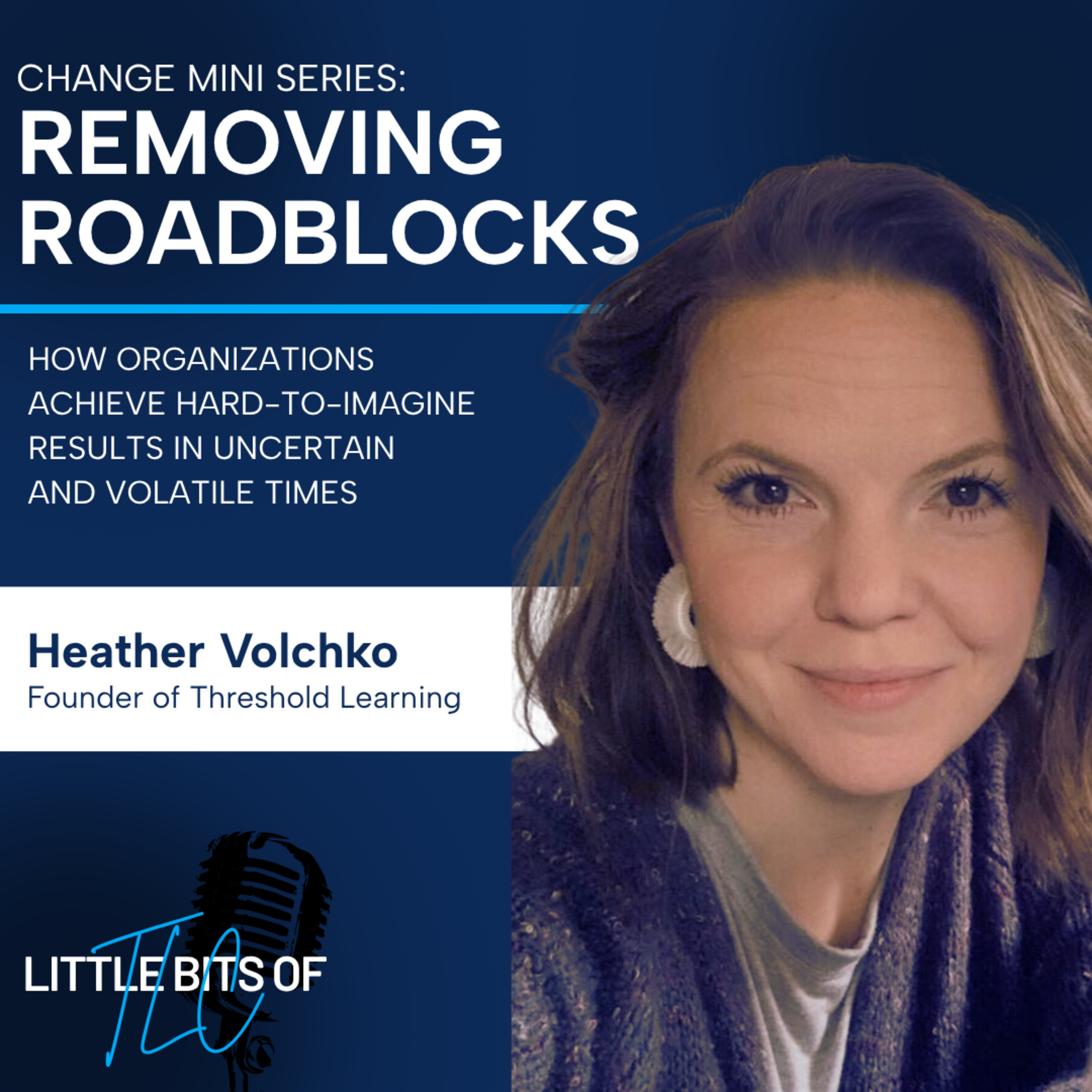 Clearing the Roadblocks So Change Can Actually Happen episode artwork