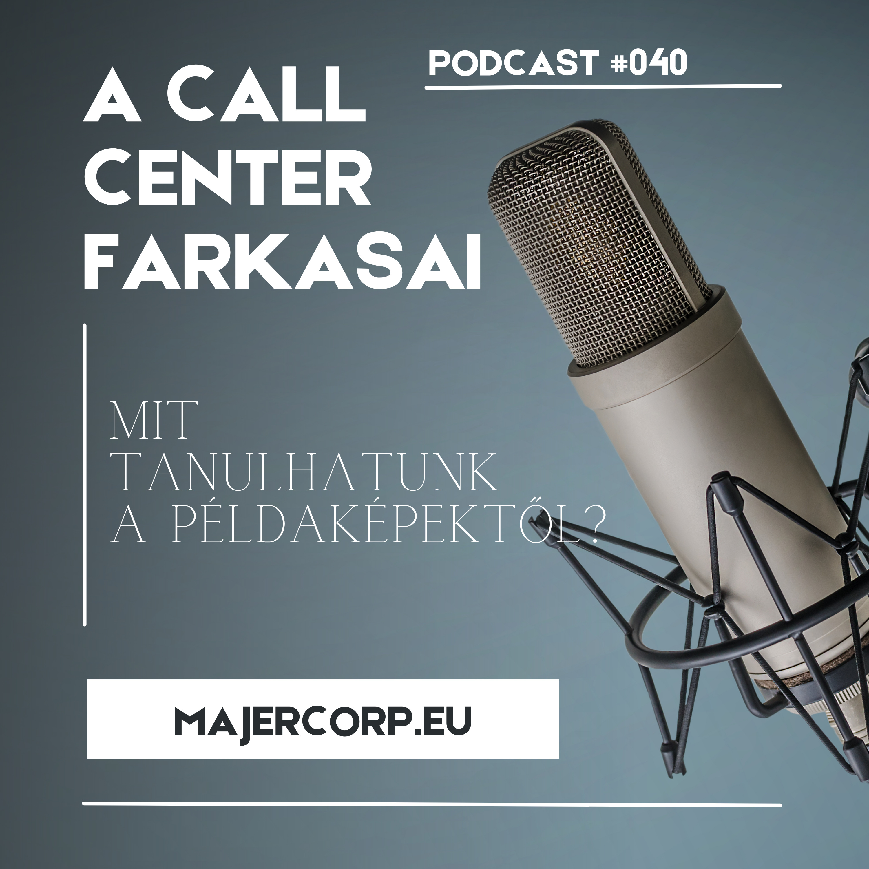 #040 Mit tanulhatunk a Példaképektől? episode artwork
