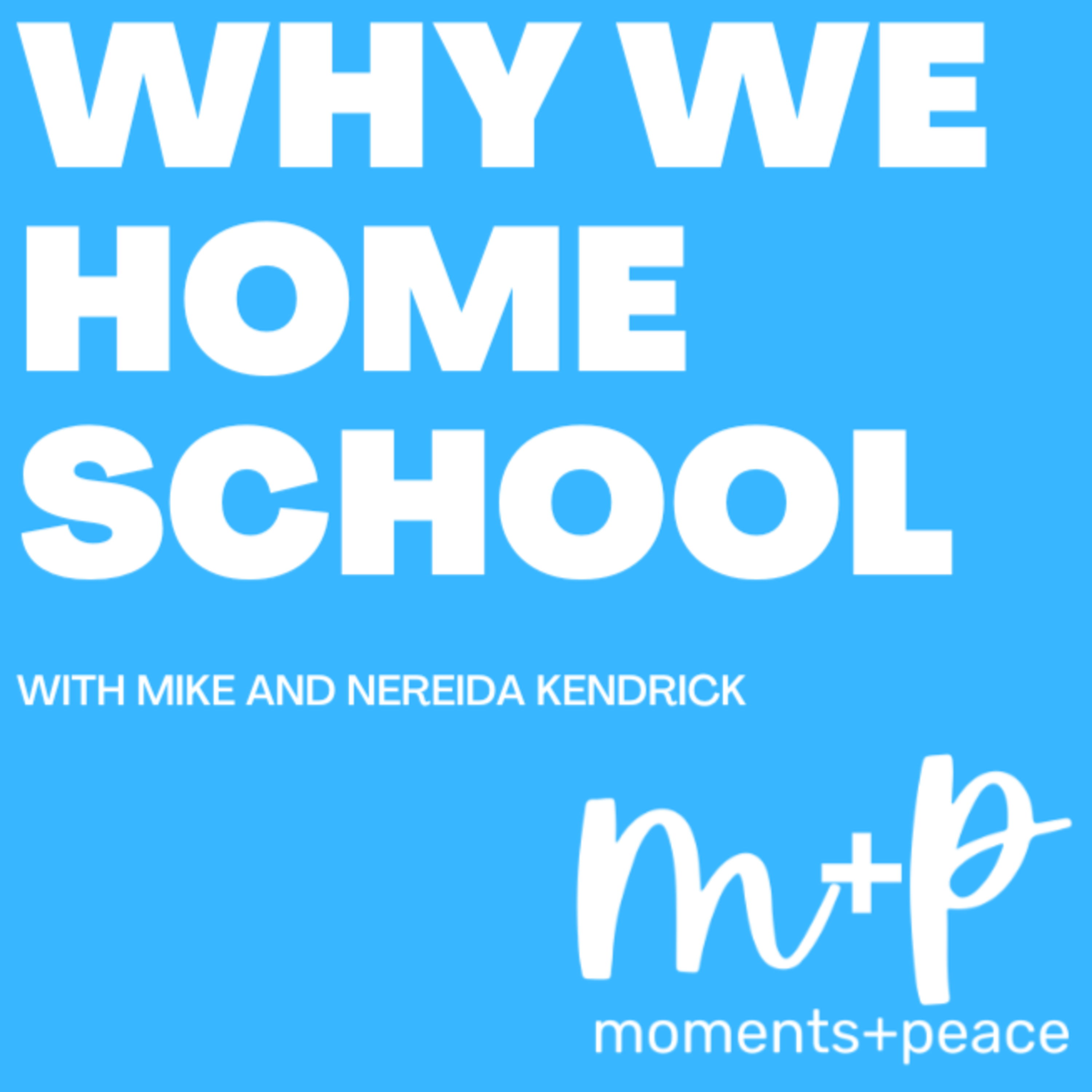 Why we homeschool episode artwork