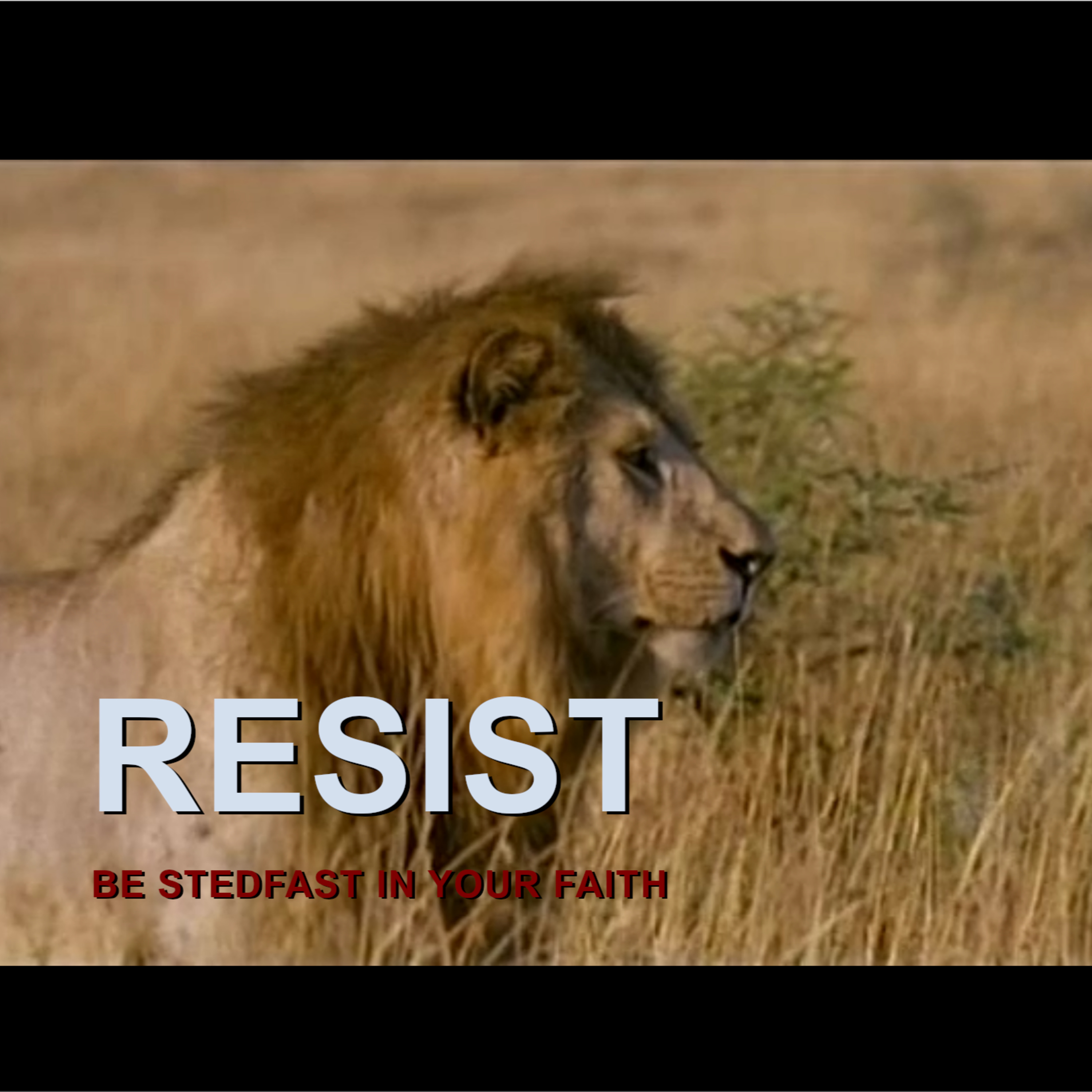 Resist, Stedfast in the Faith (Video) episode artwork