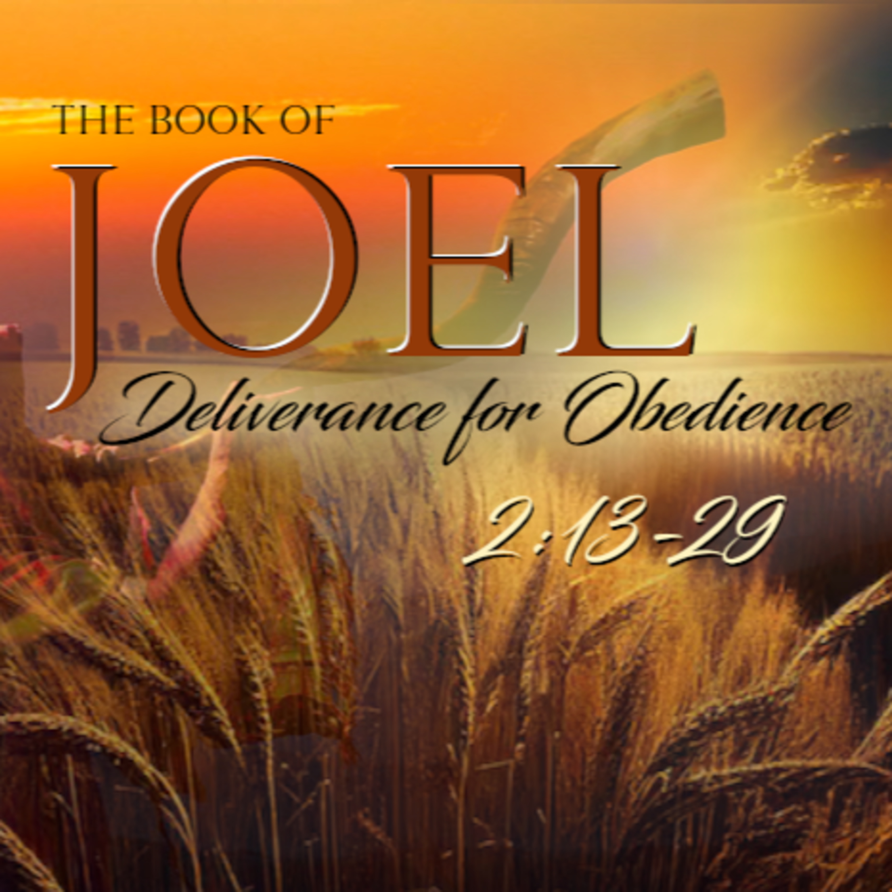 Joel 2:14-29 - "Love is the Answer" episode artwork