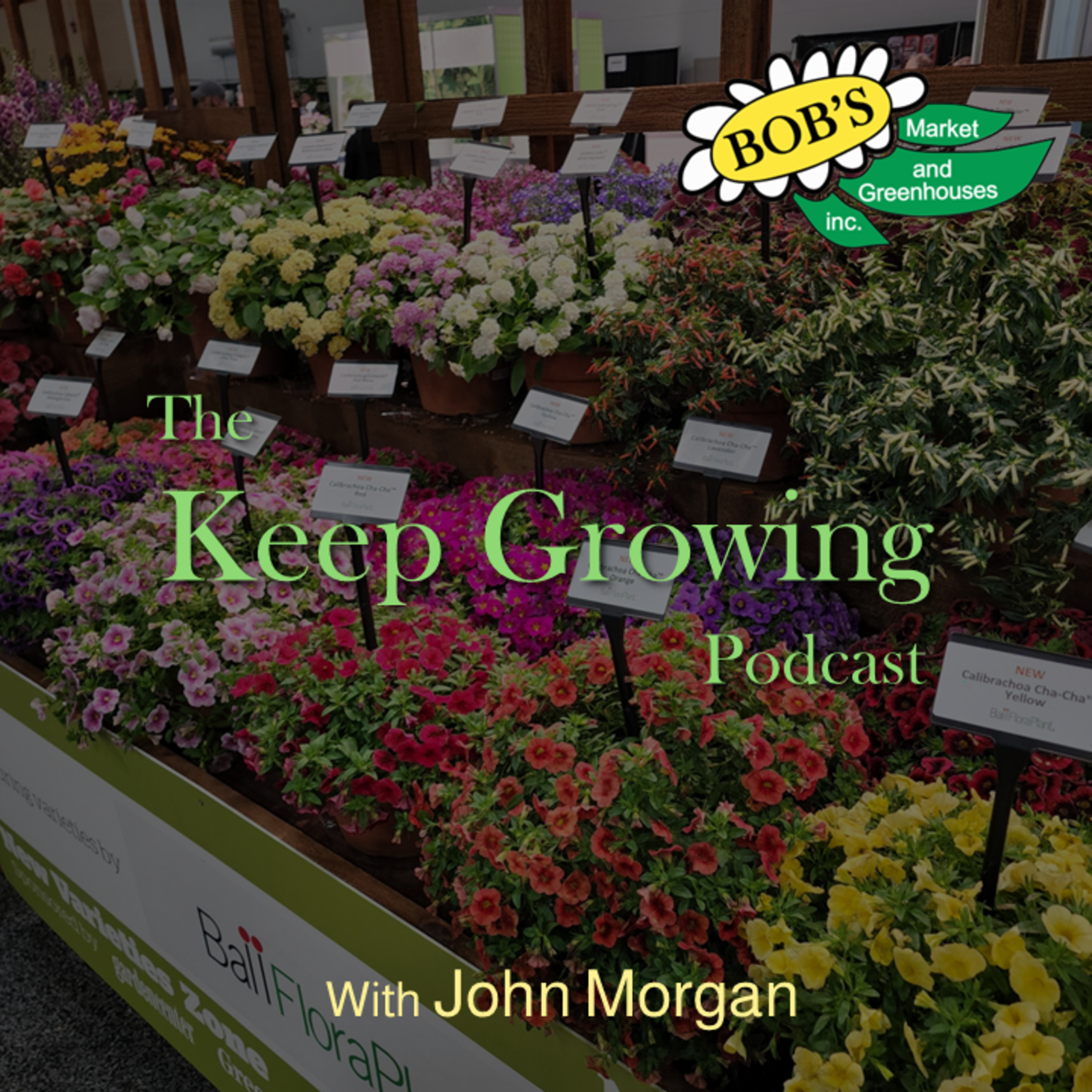 July 12, 2025 Weekly Gardening Guide episode artwork