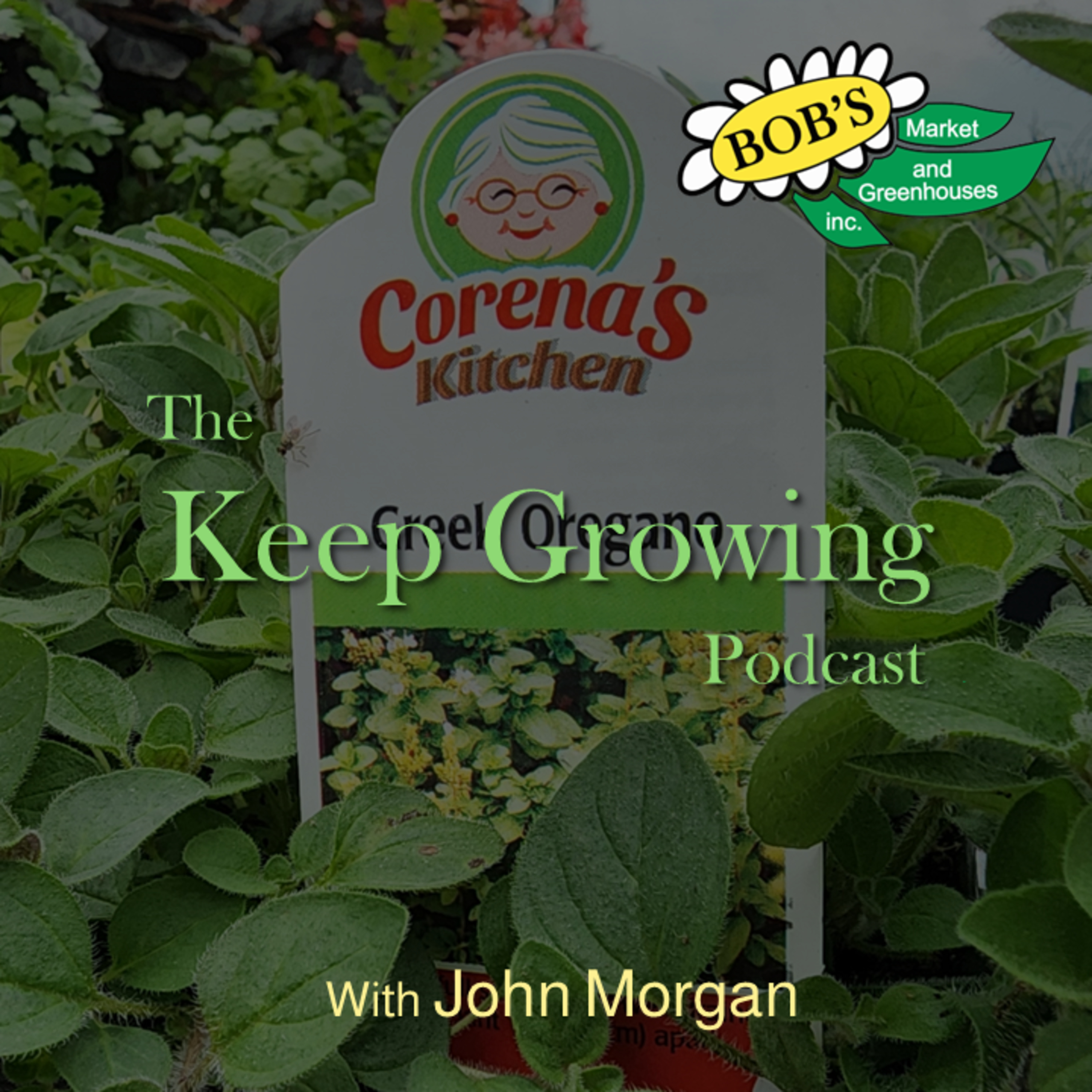 July 19, 2025 Weekly Gardening Guide episode artwork