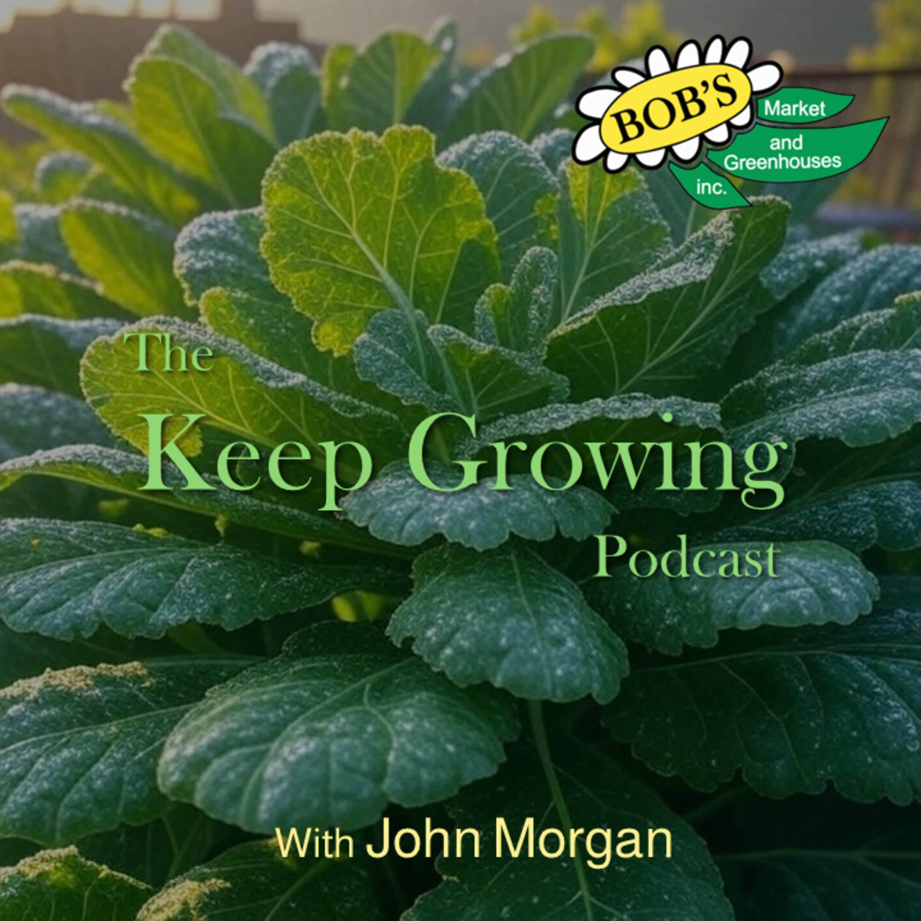 August 23, 2025 Weekly Gardening Guide
