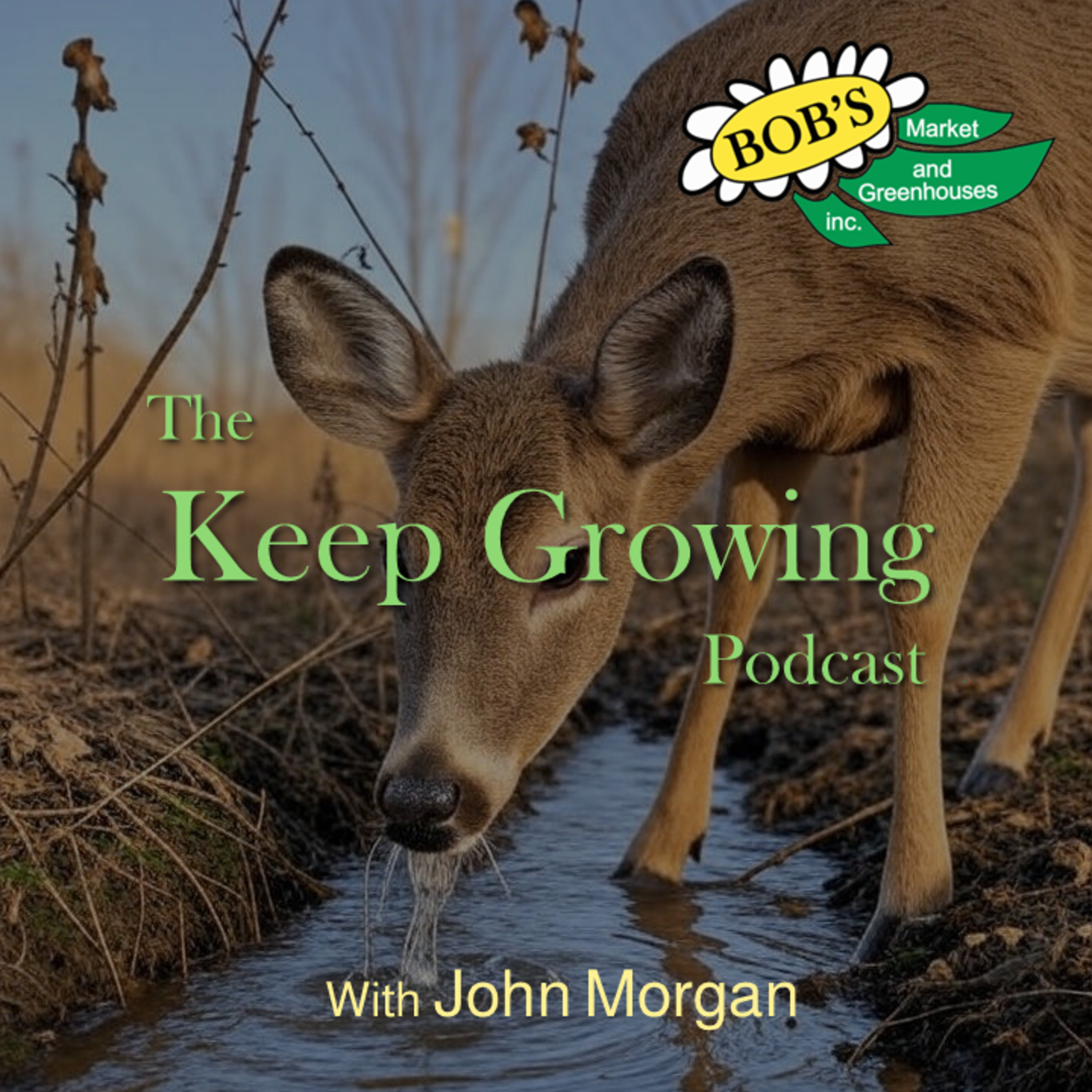 September 13, 2025 Weekly Gardening Guide episode artwork