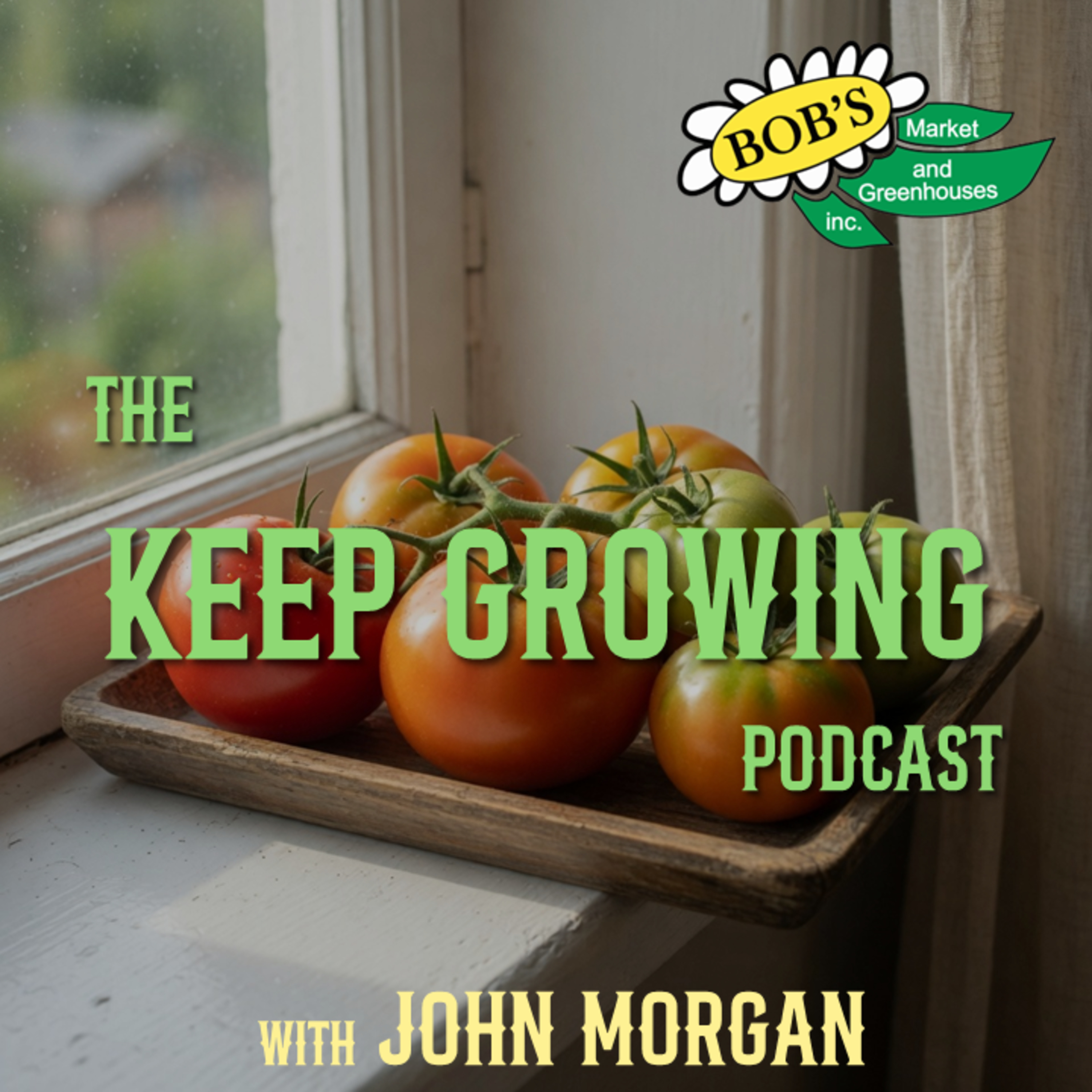 8.1.26 - Ripening Tomatoes Indoors episode artwork