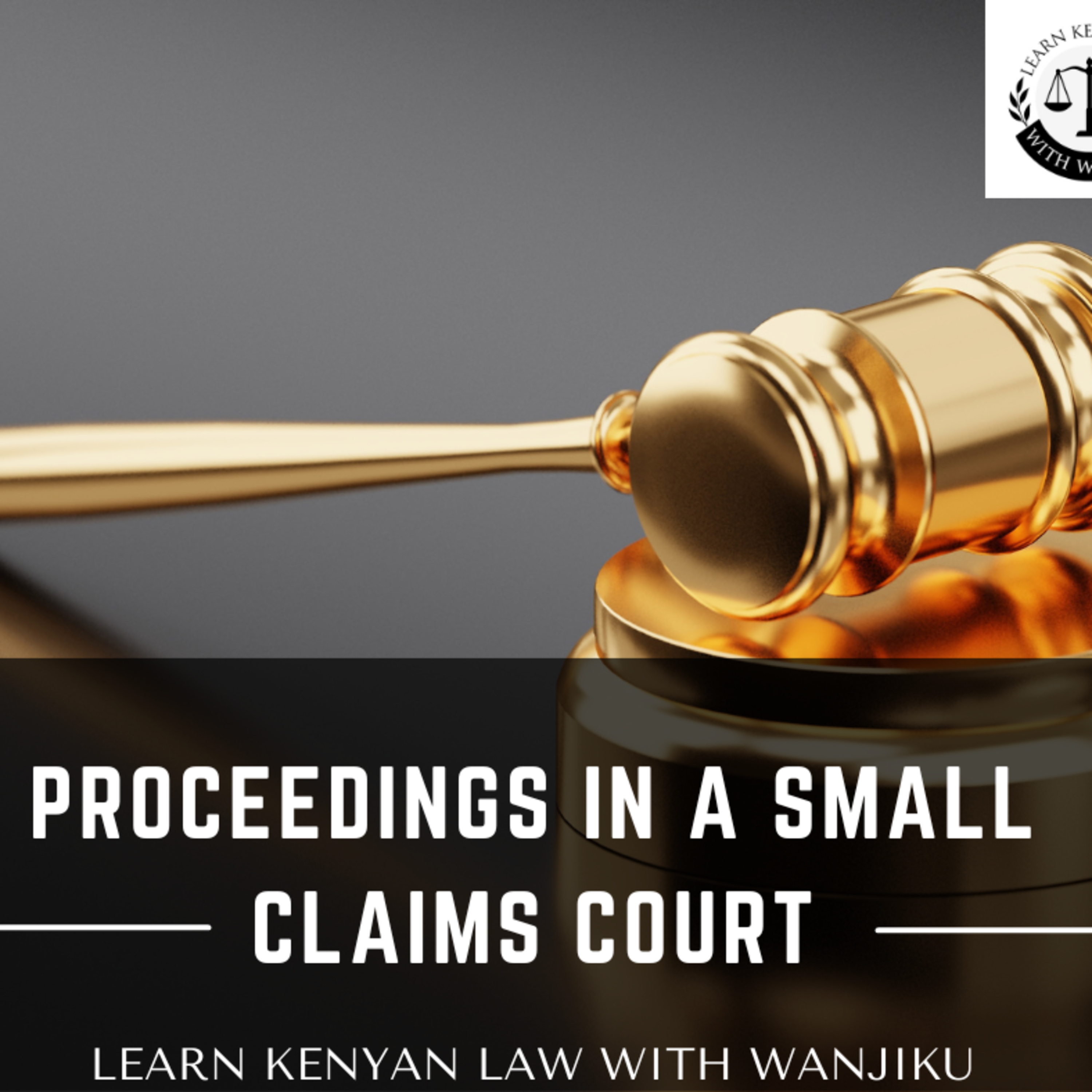 Proceedings In A Small Claims Court