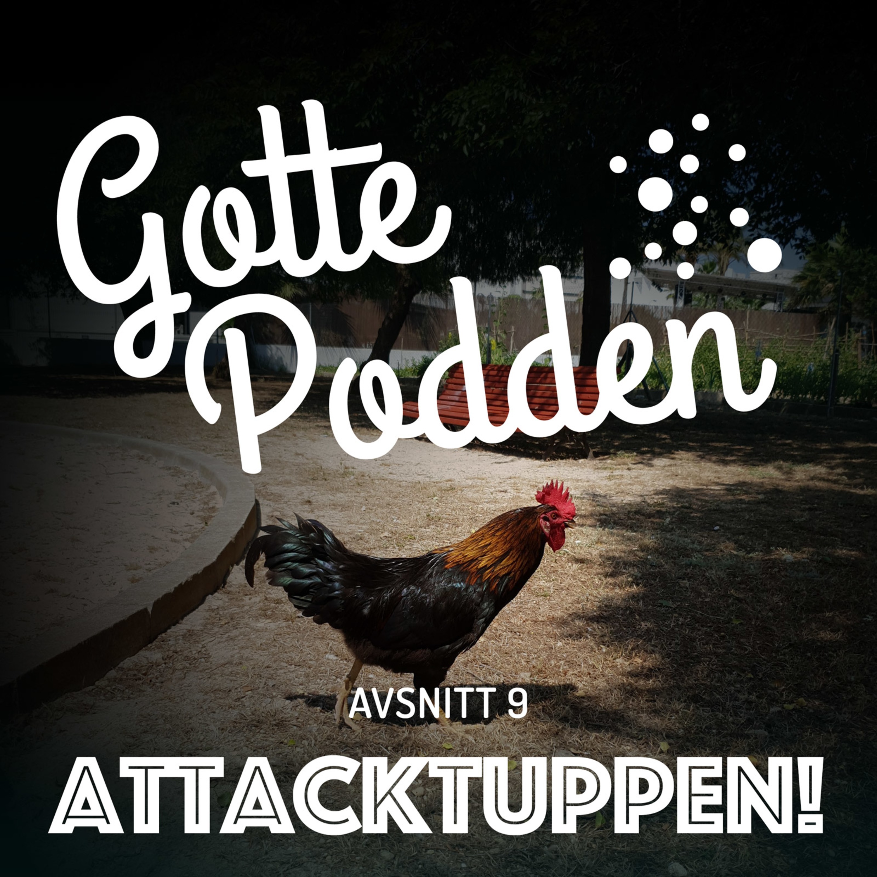 Gottepodden
