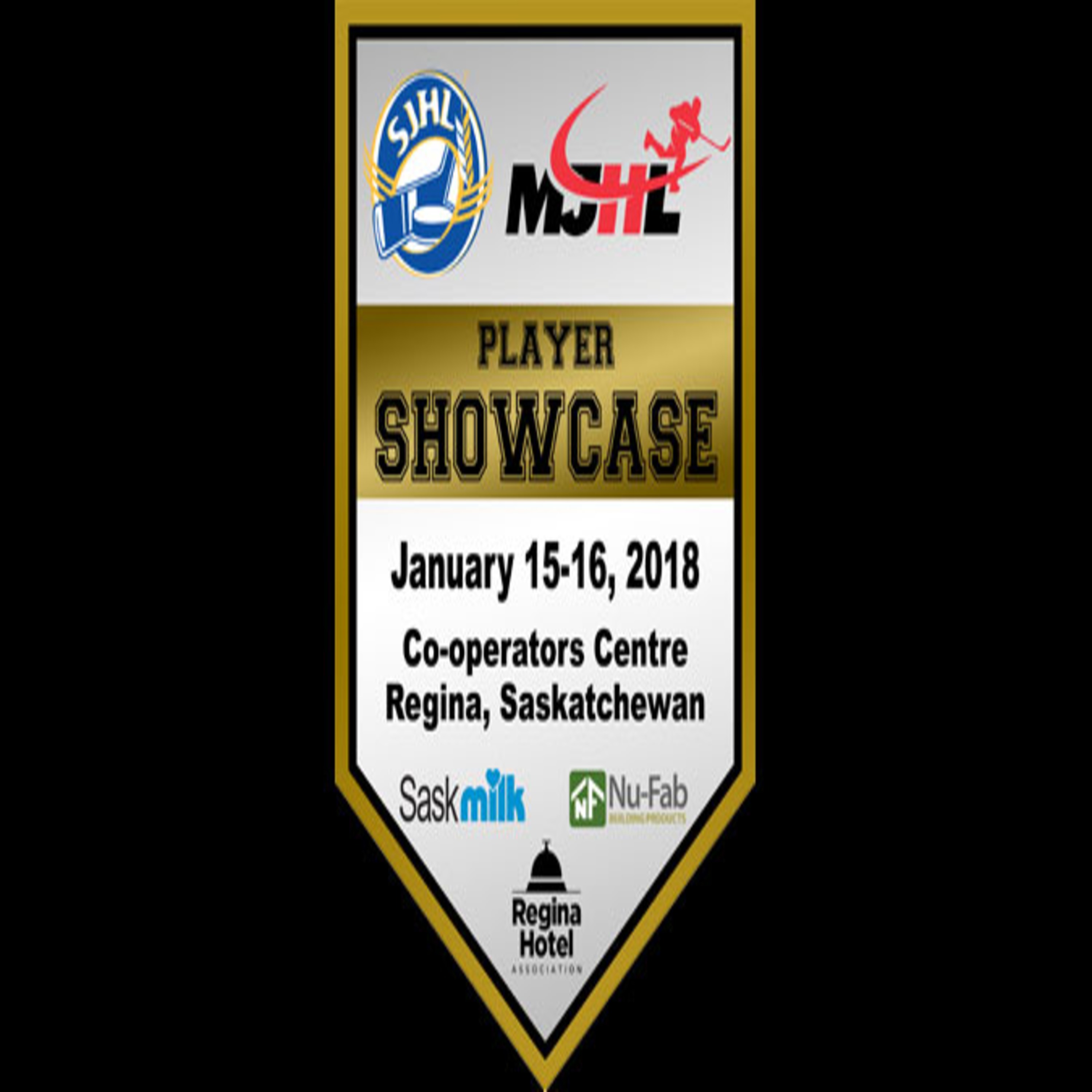 Riley Perka, All-Star Preview, Jan. 11, 2018 episode artwork