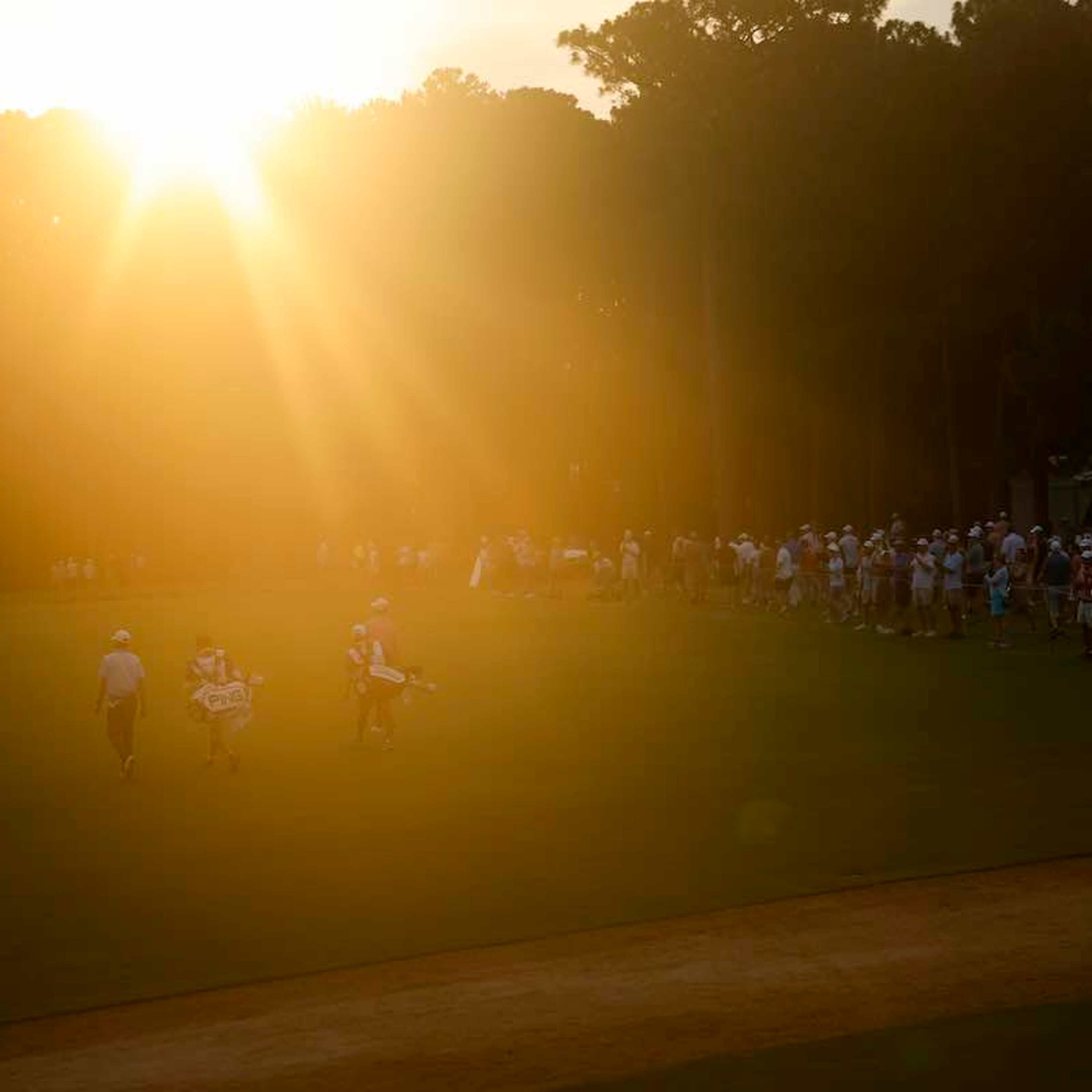 Bola Provisional (El podcast de golf de Ten Golf)
