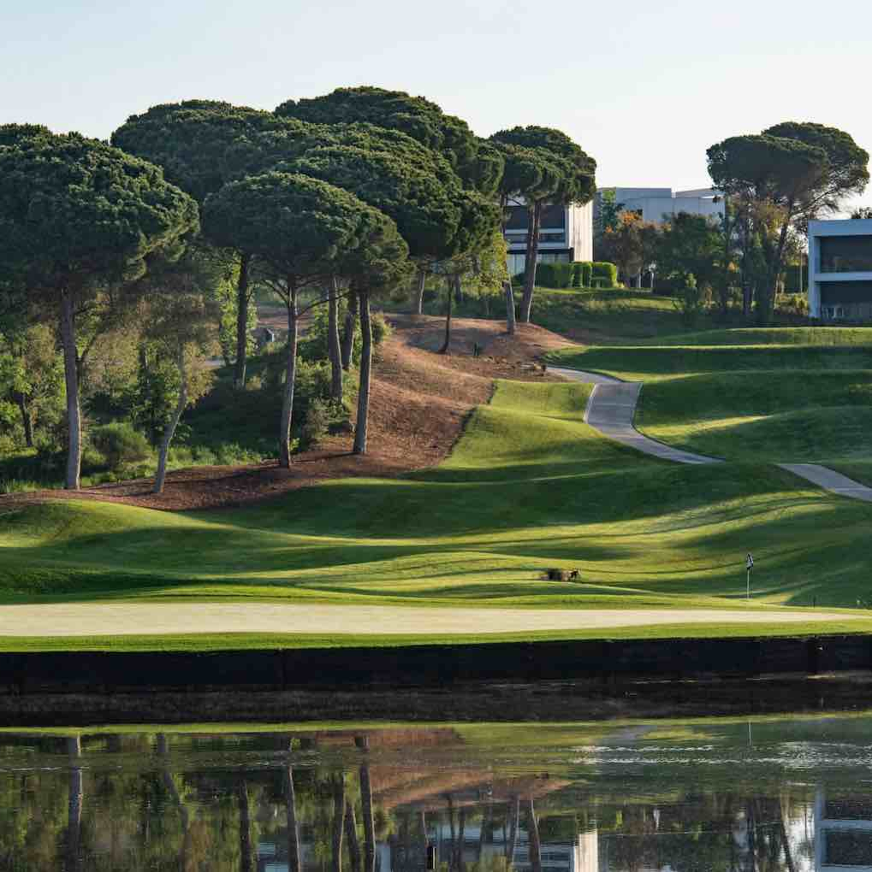 Bola Provisional (El podcast de golf de Ten Golf)