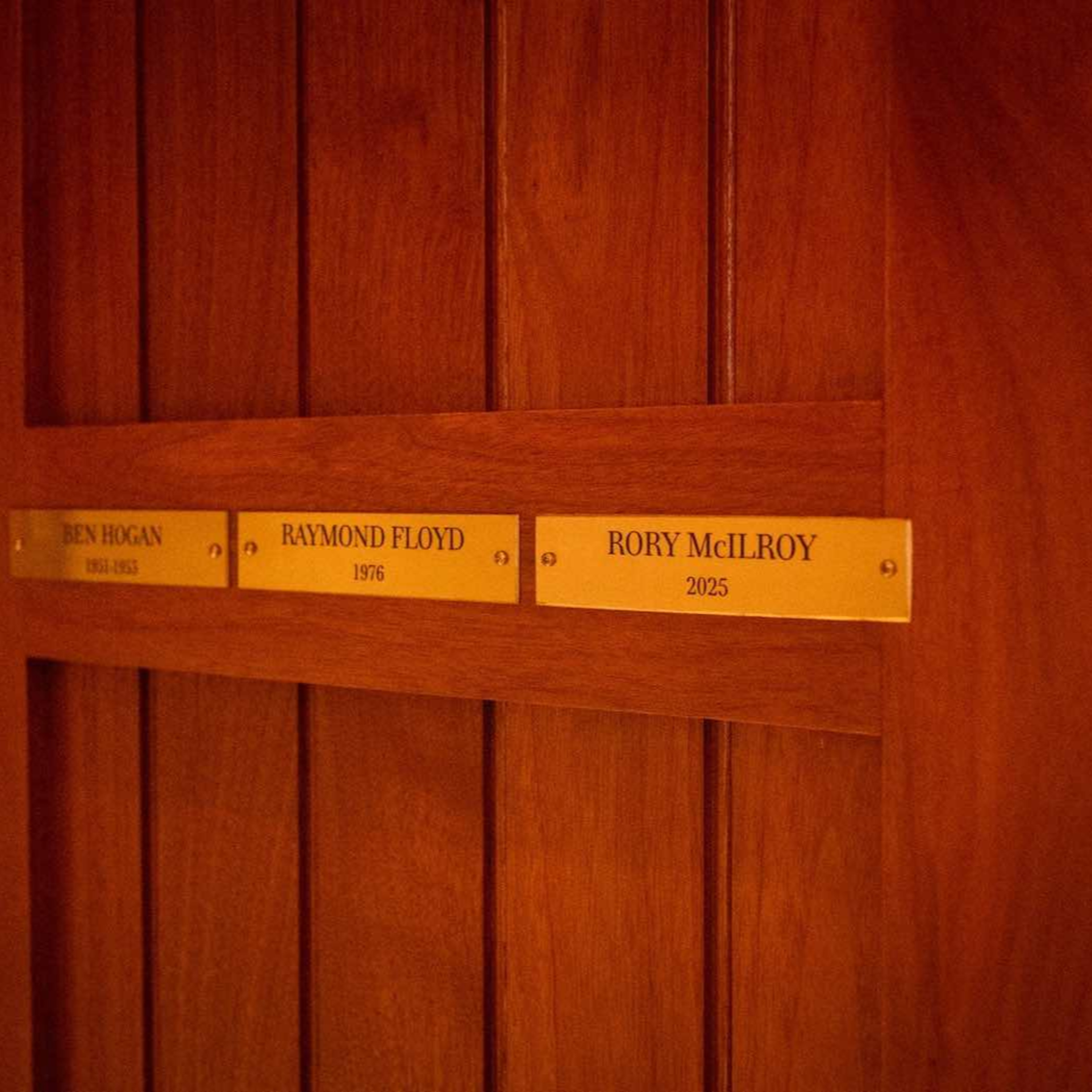 Érase una vez un gorrión que se cayó del nido...