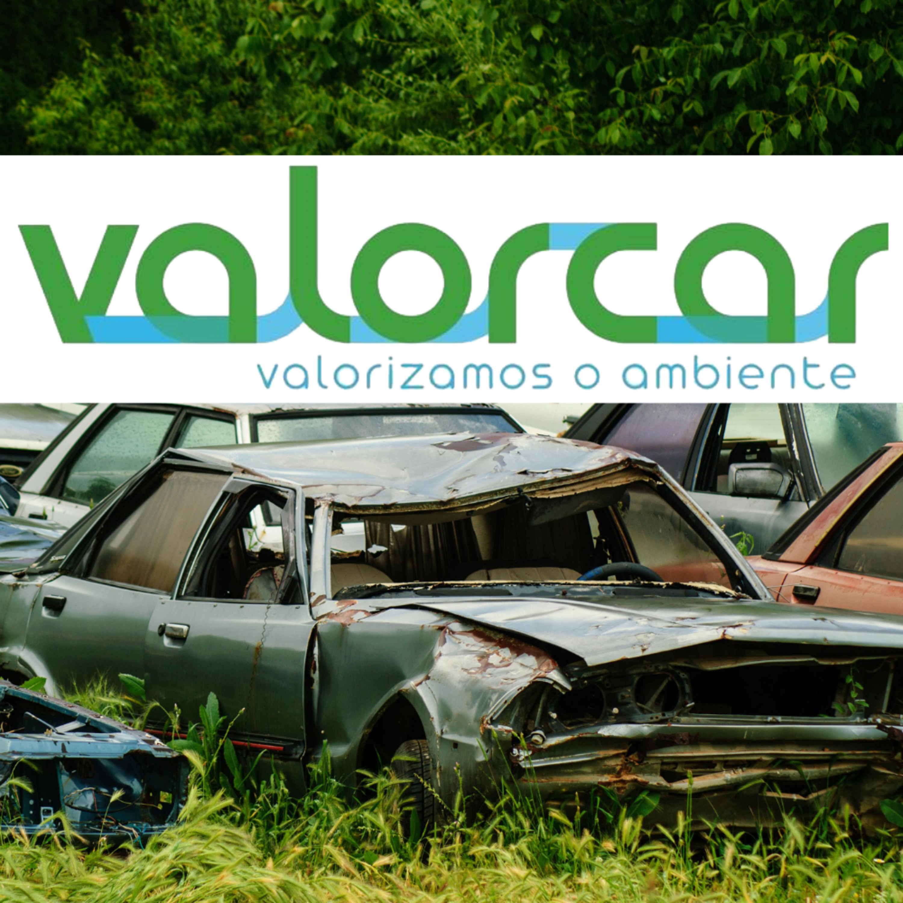 Saúde Ambiental em linha!...