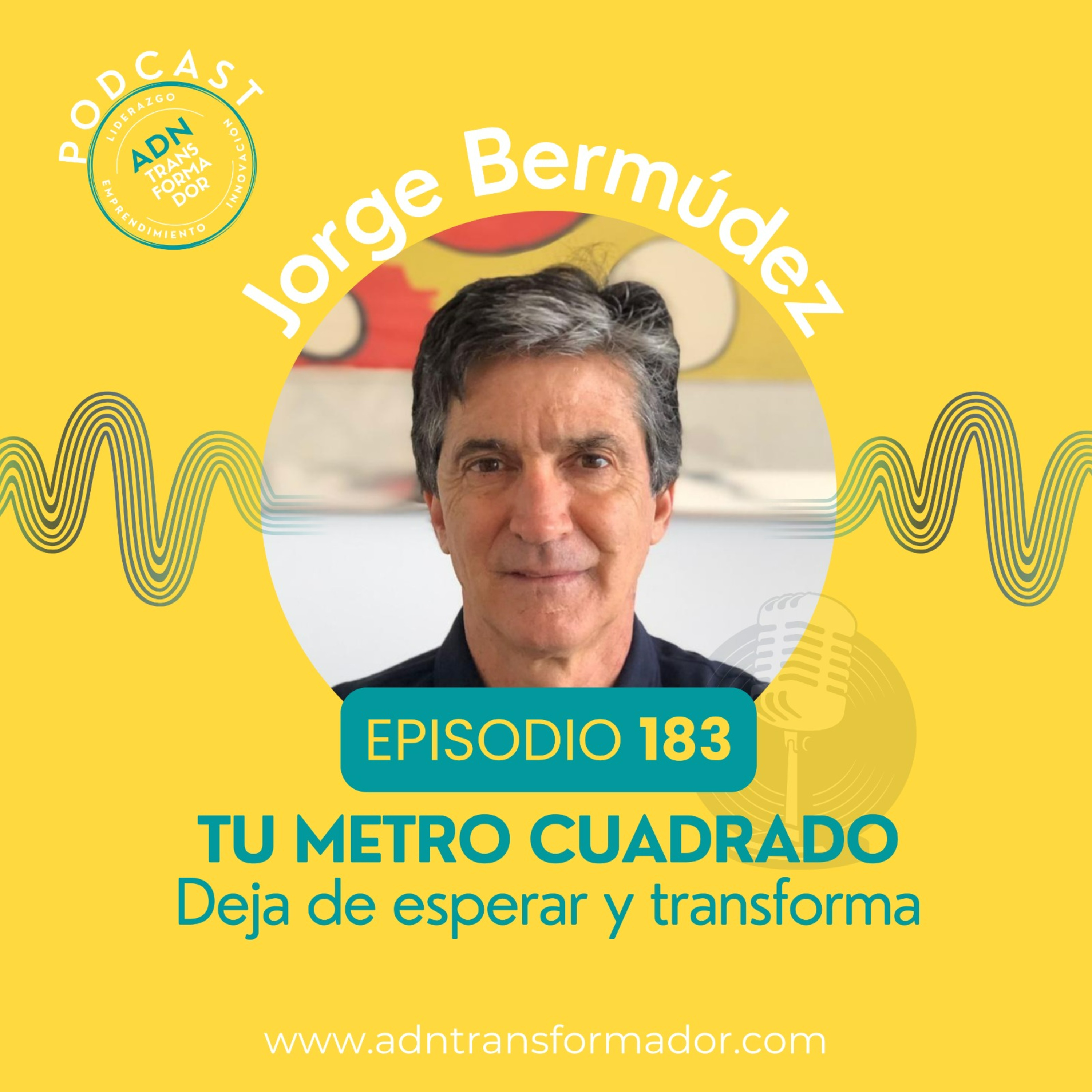 Episodio 183 - Jorge Bermúdez 183 : Tu metro cuadrado episode artwork