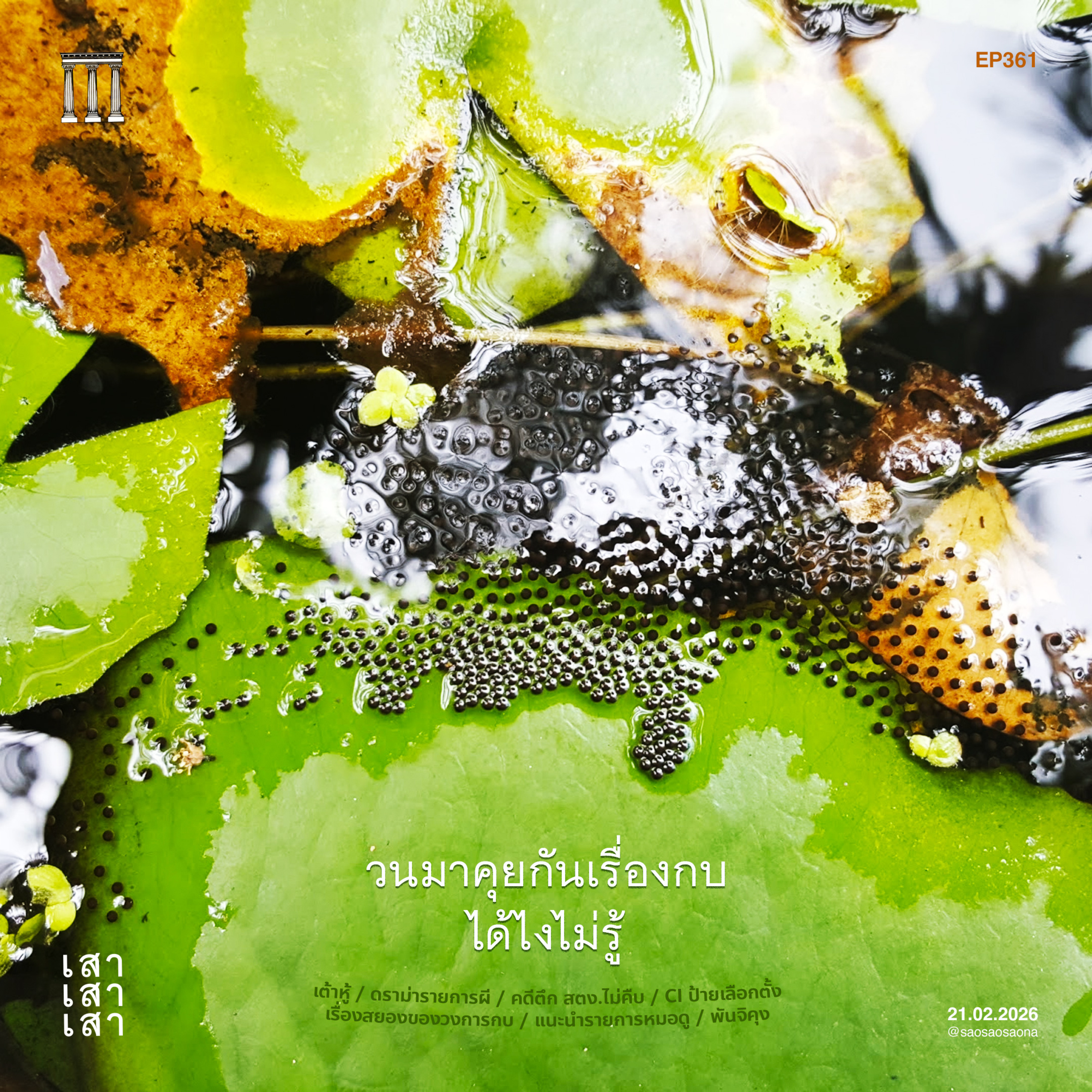 เสาเสาเสา 361 : วนมาคุยเรื่องกบได้ไงไม่รู้ #ช่างเถอะ