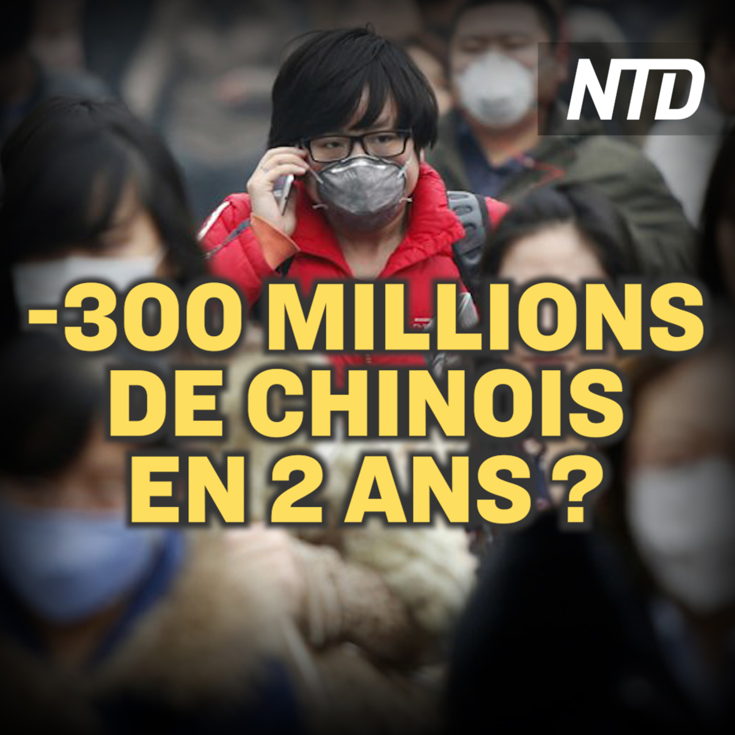 NTD France