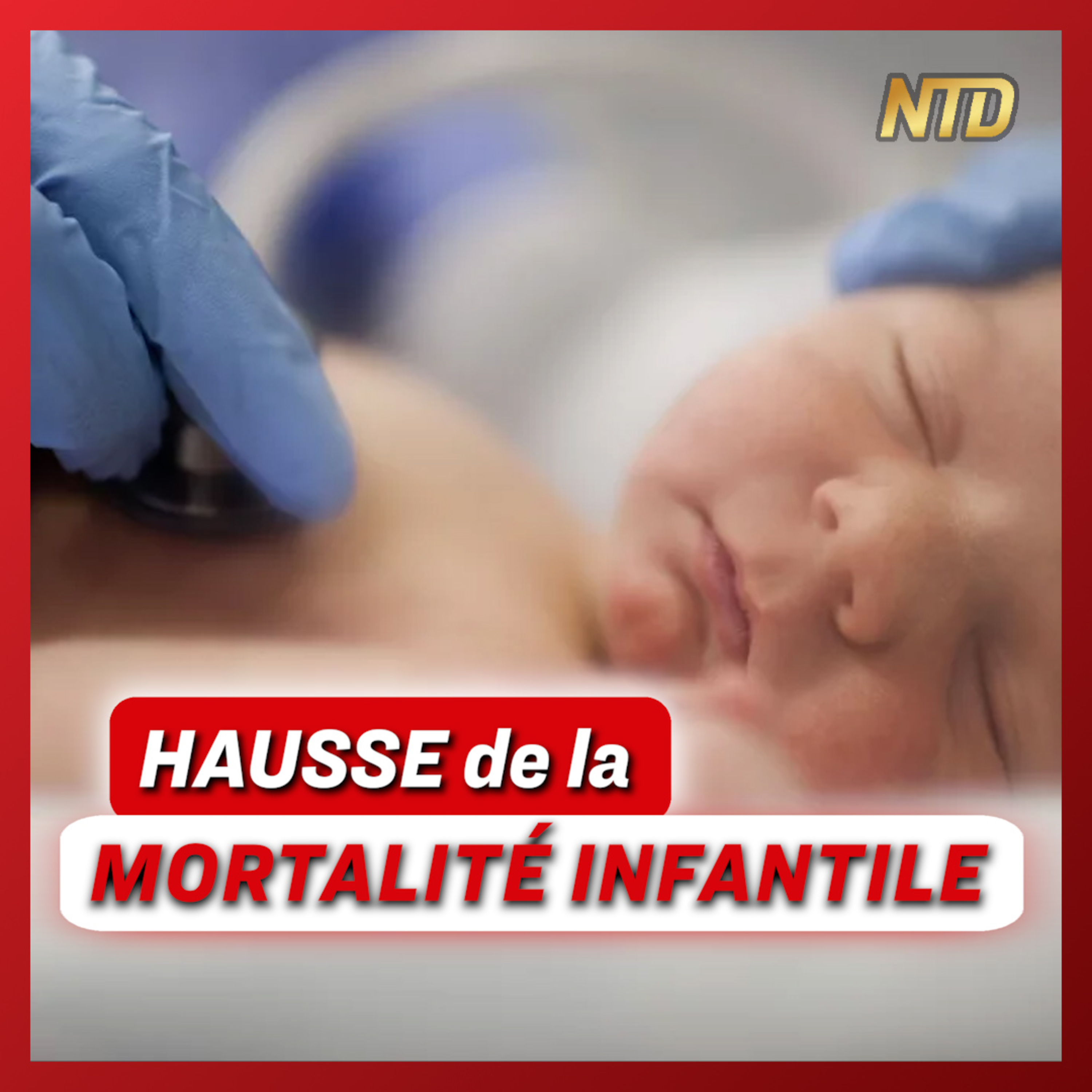 NTD France