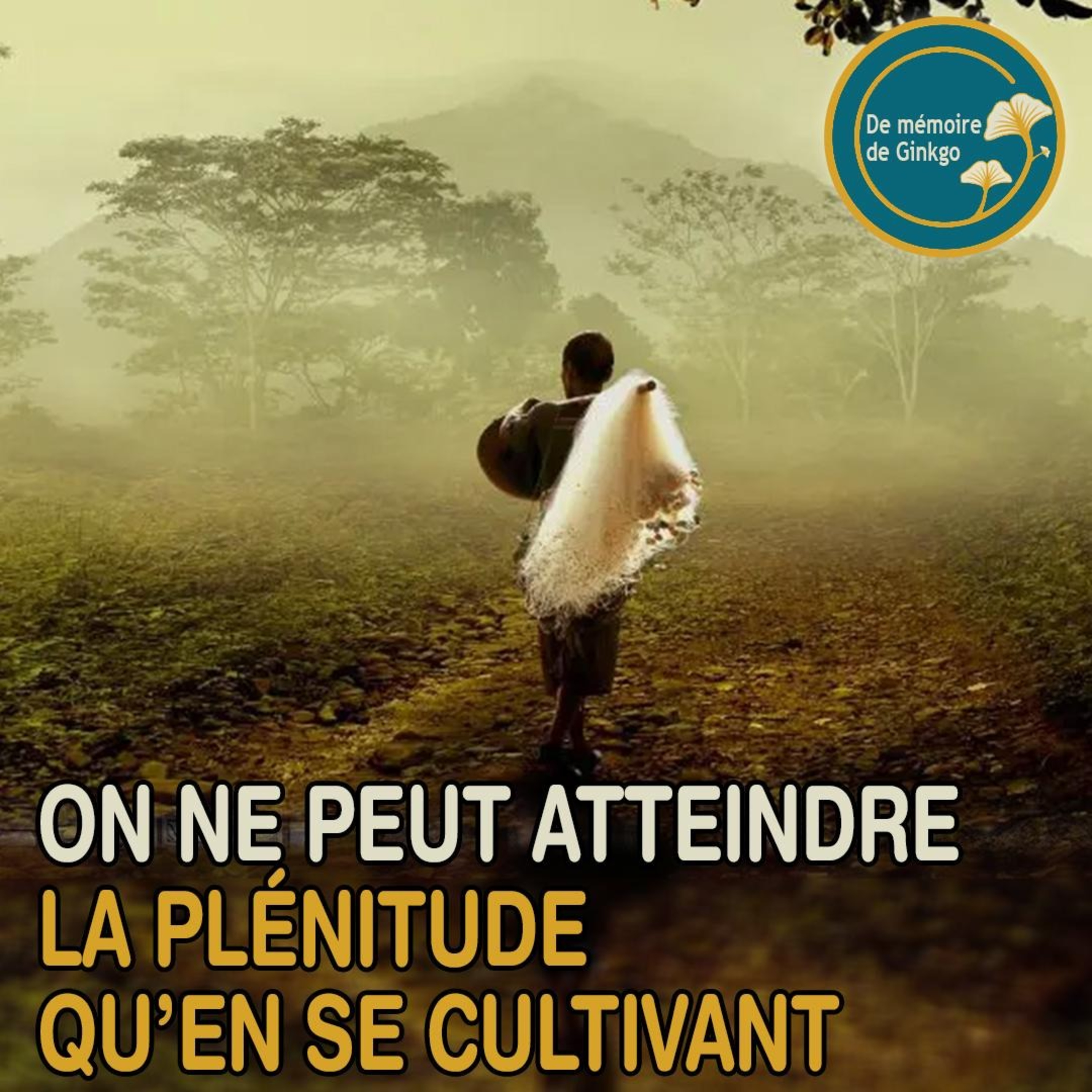 On ne peut atteindre la plénitude qu'en se cultivant | De mémoire de Ginkgo