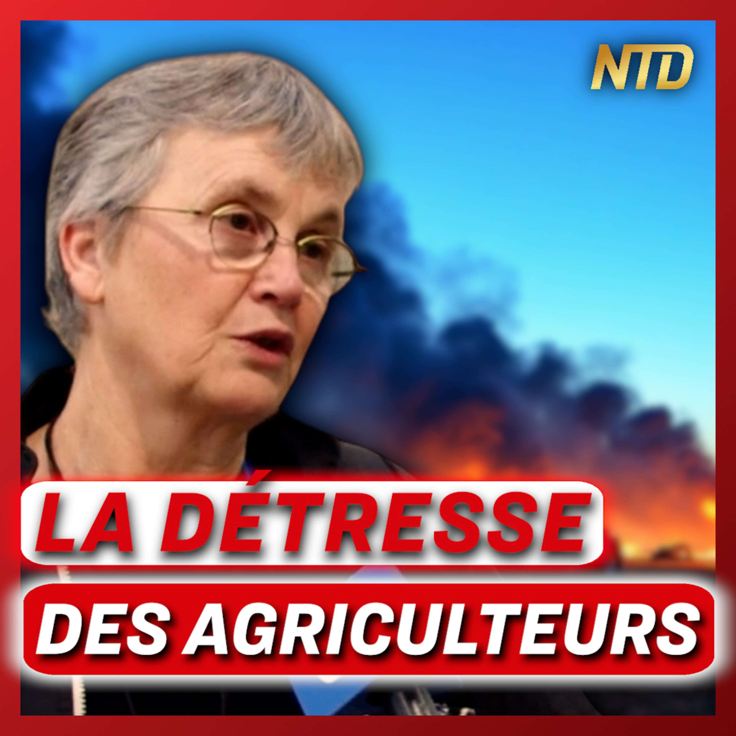 « Les agriculteurs vont arrêter, demain on va manquer de viande et de lait. » - Une agricultrice | NTD l'Actu