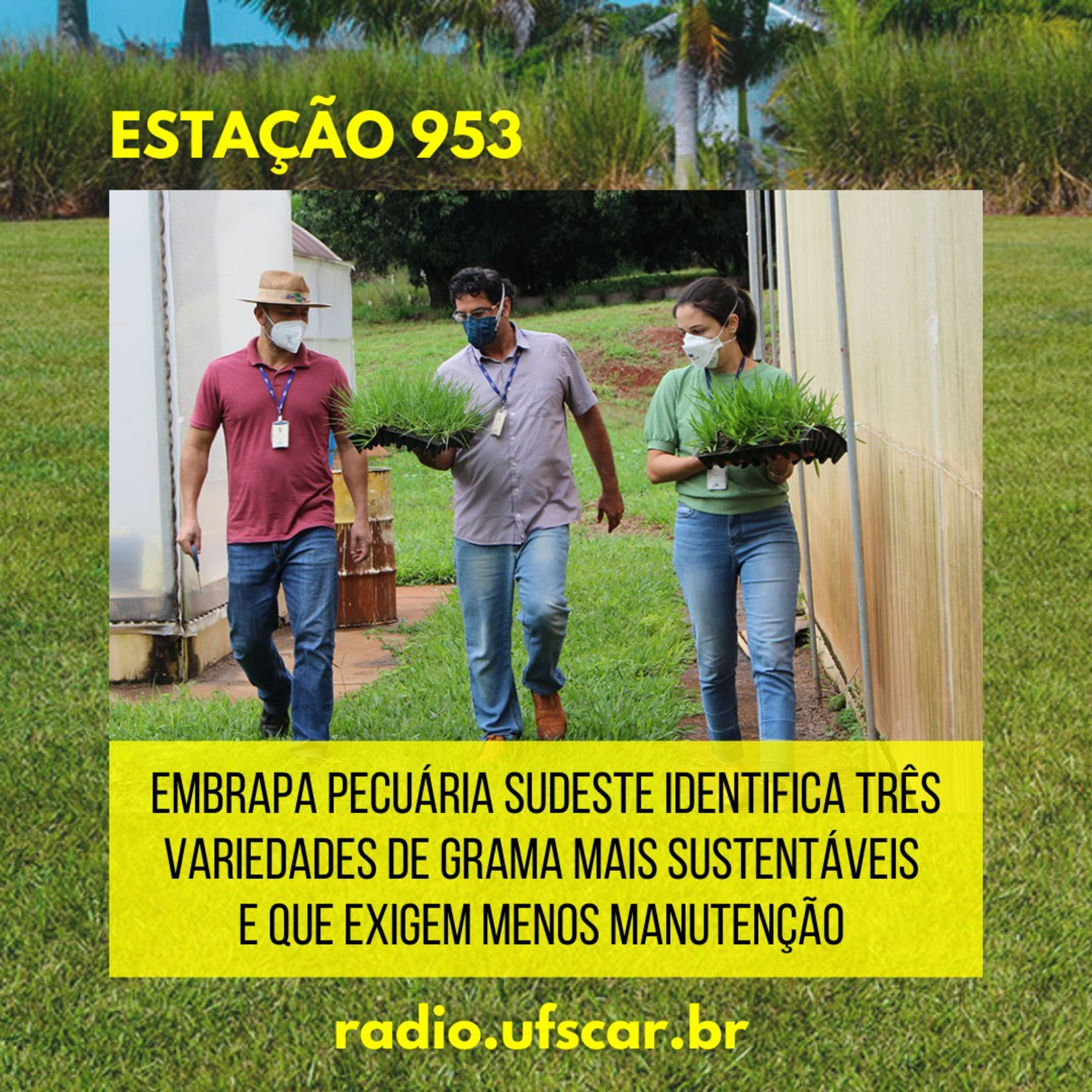Estação 953 #43 episode artwork