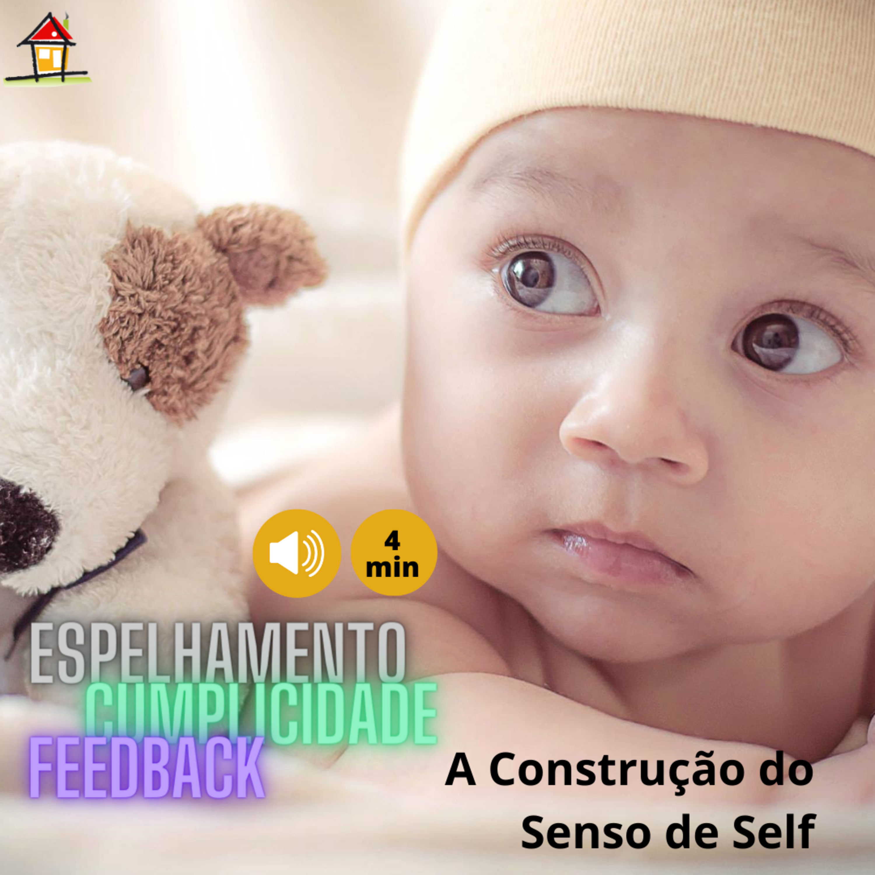 A Construção do Senso de Self [NSimas] Espelhamento-Cumplicidade-Feedback [Top3Cap4LVAL Pg114-116] episode artwork